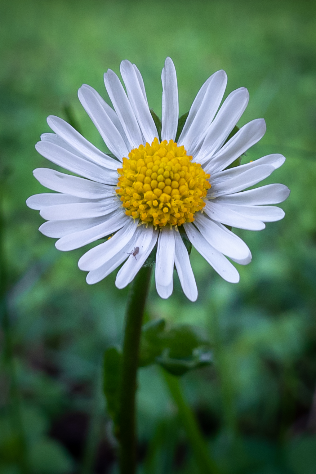 Untitled Photo