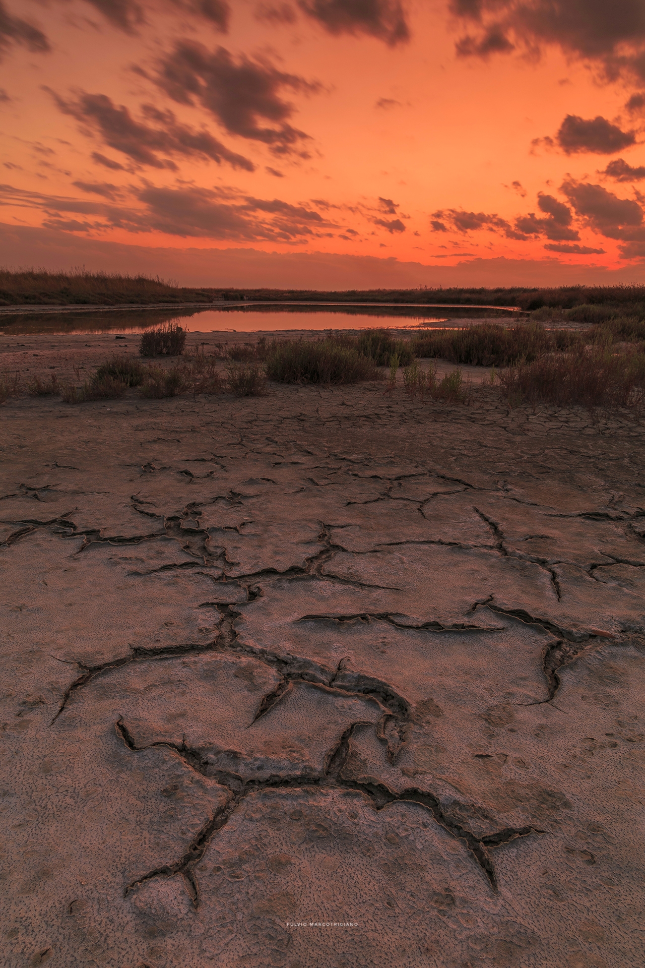 Apulian Desert