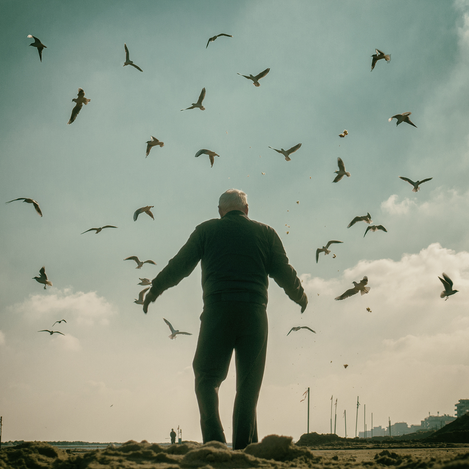 The Lord of the Seagulls