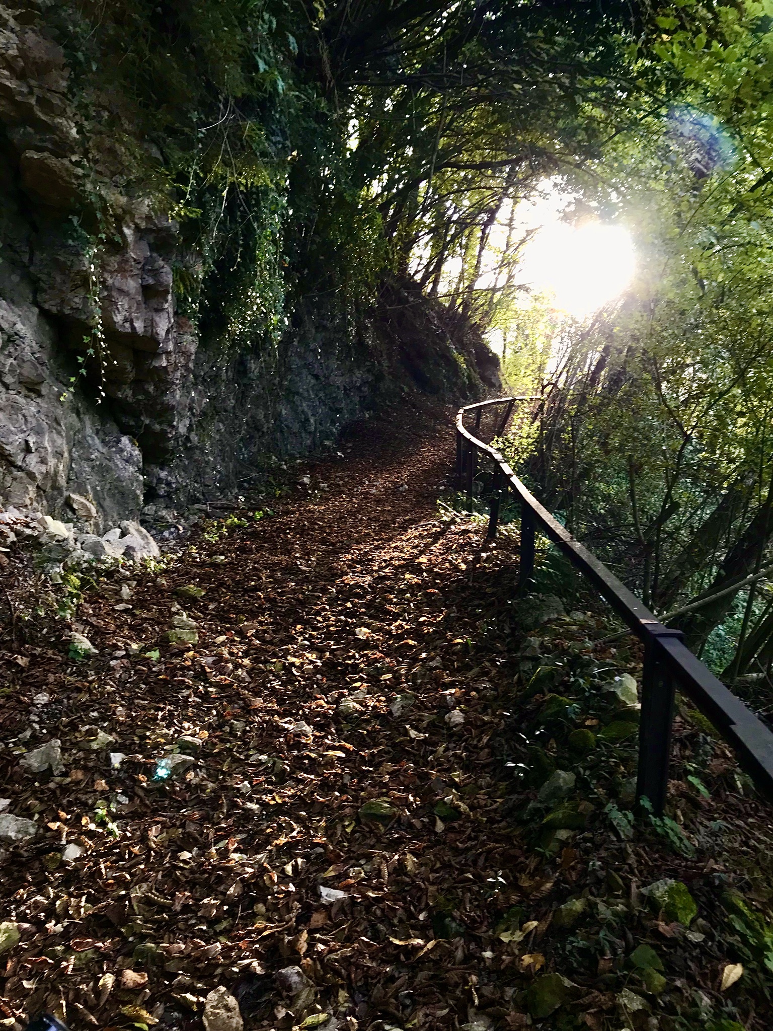 Sono fuori dal tunnelelele del divertimentoooo