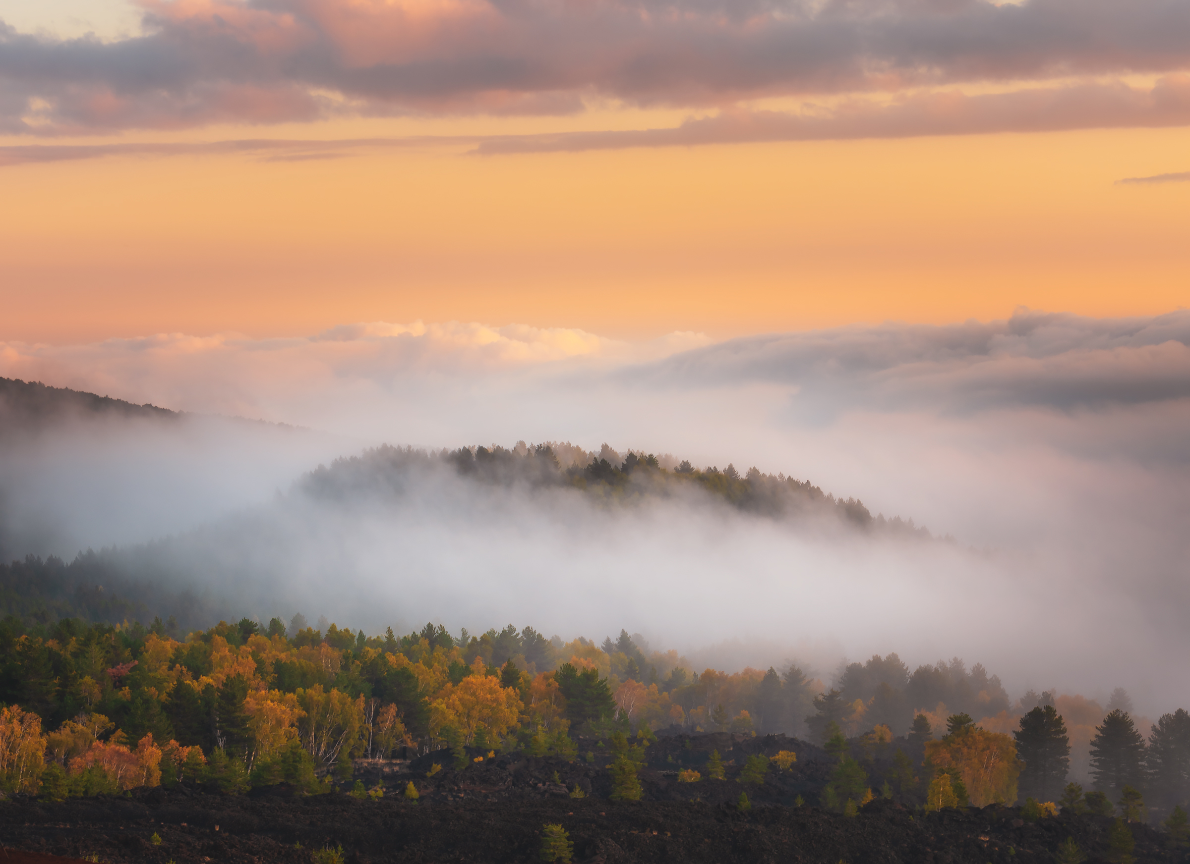 Come l'isola che non c'è