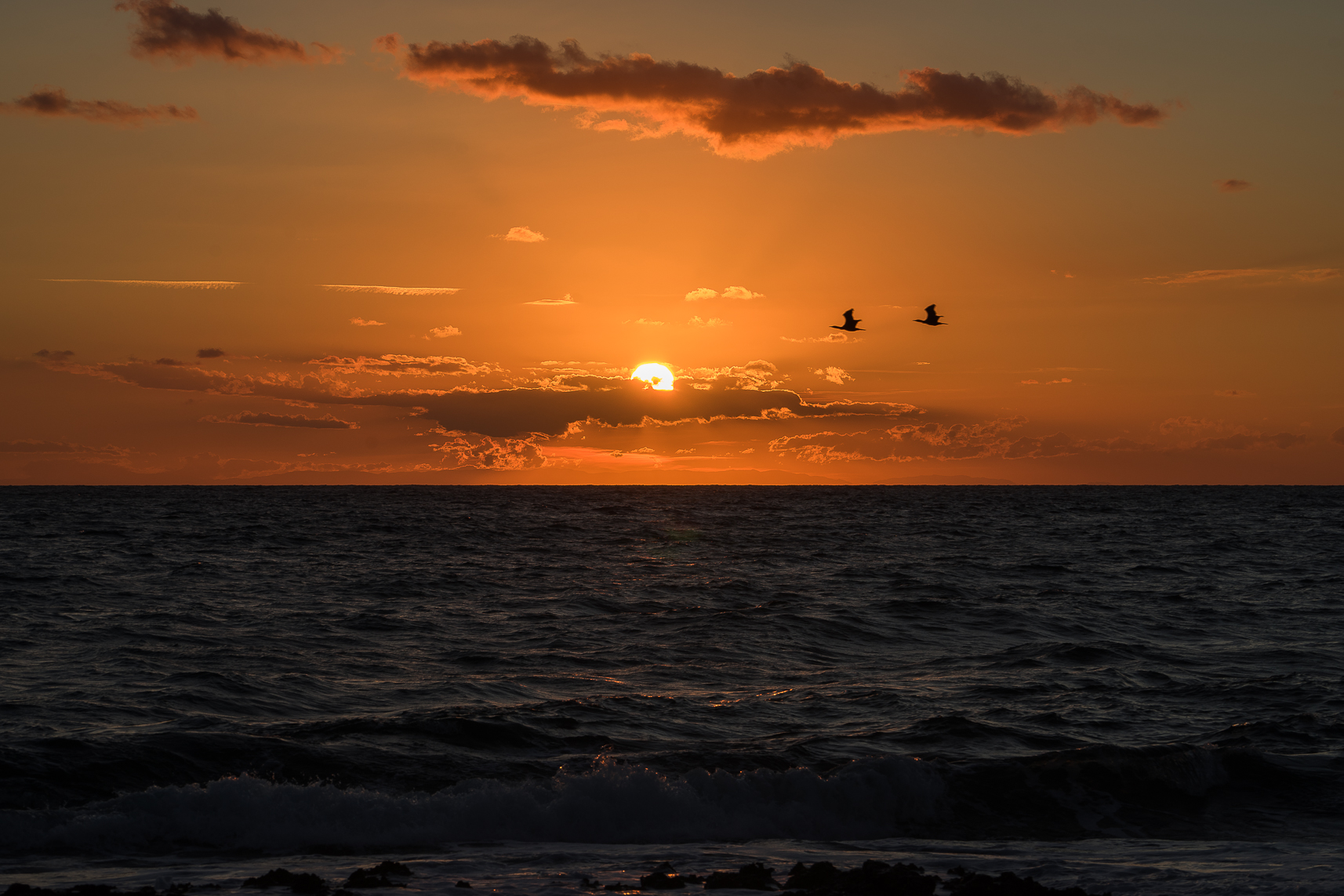 LIKE ST. MARTIN'S POETRY.