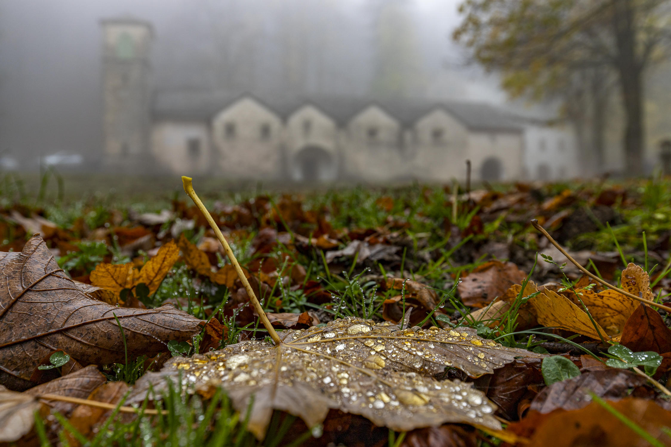 The arrival of autumn