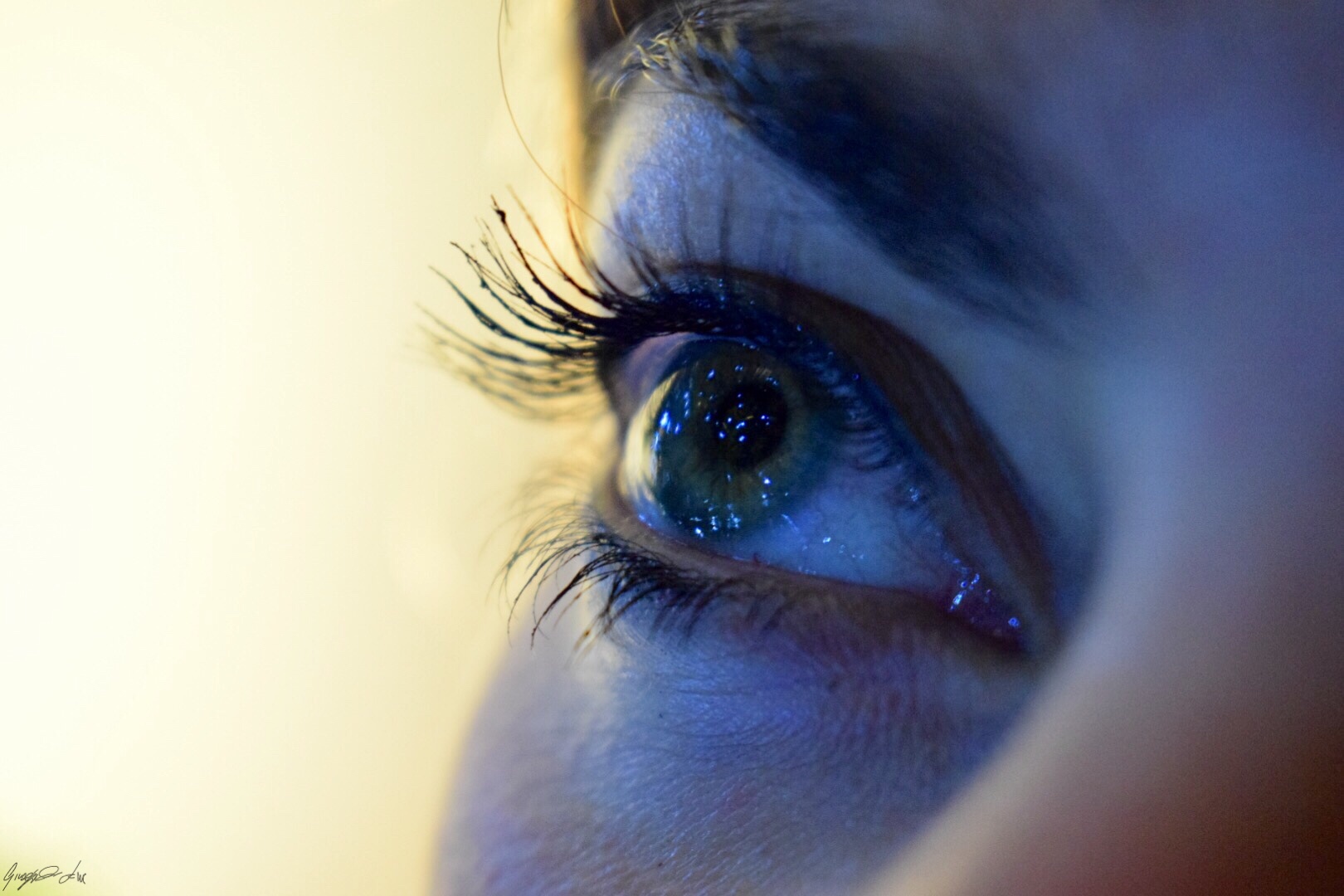 The light in his eyes