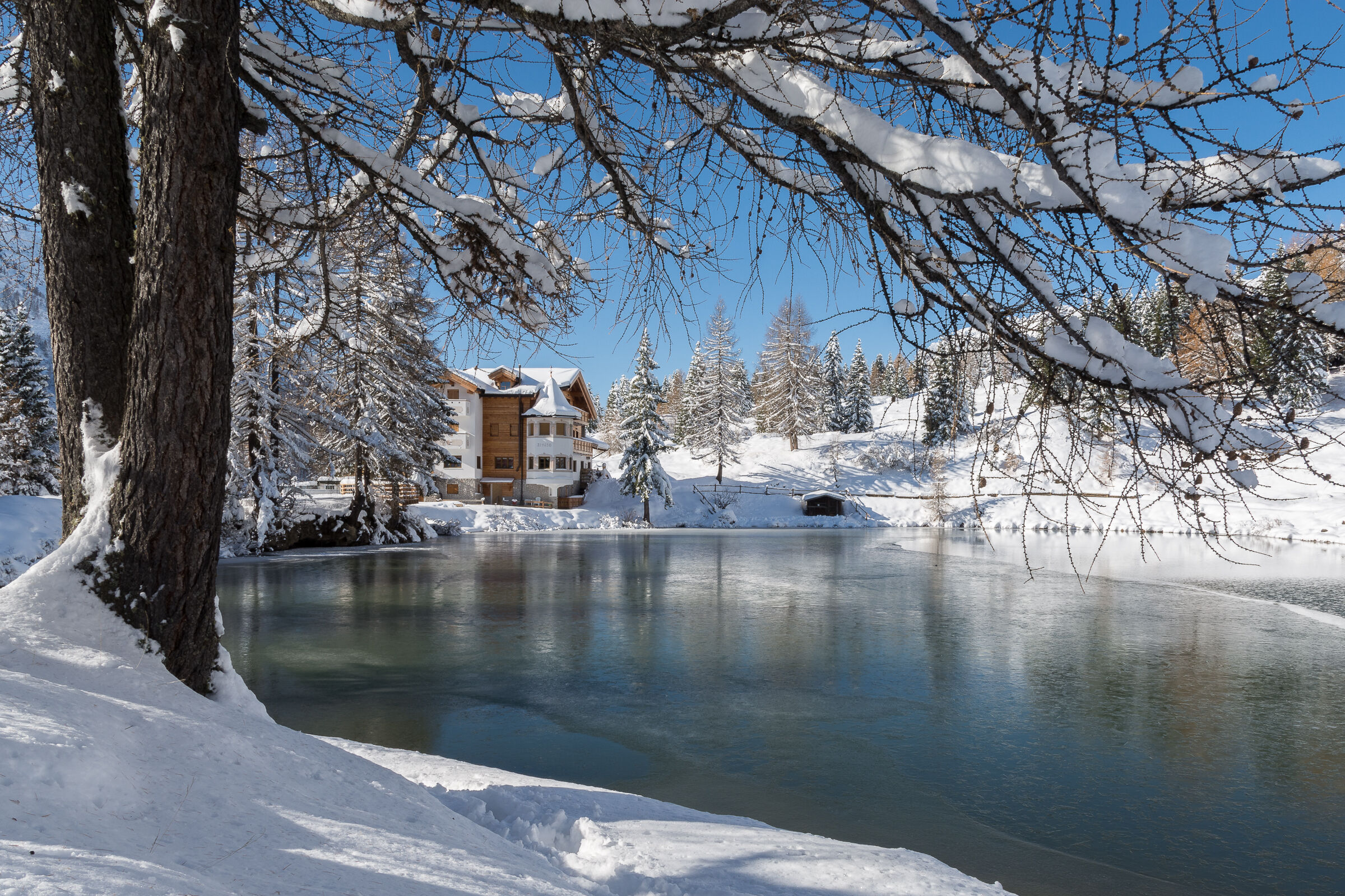 Alpine pond at San Pellegrino