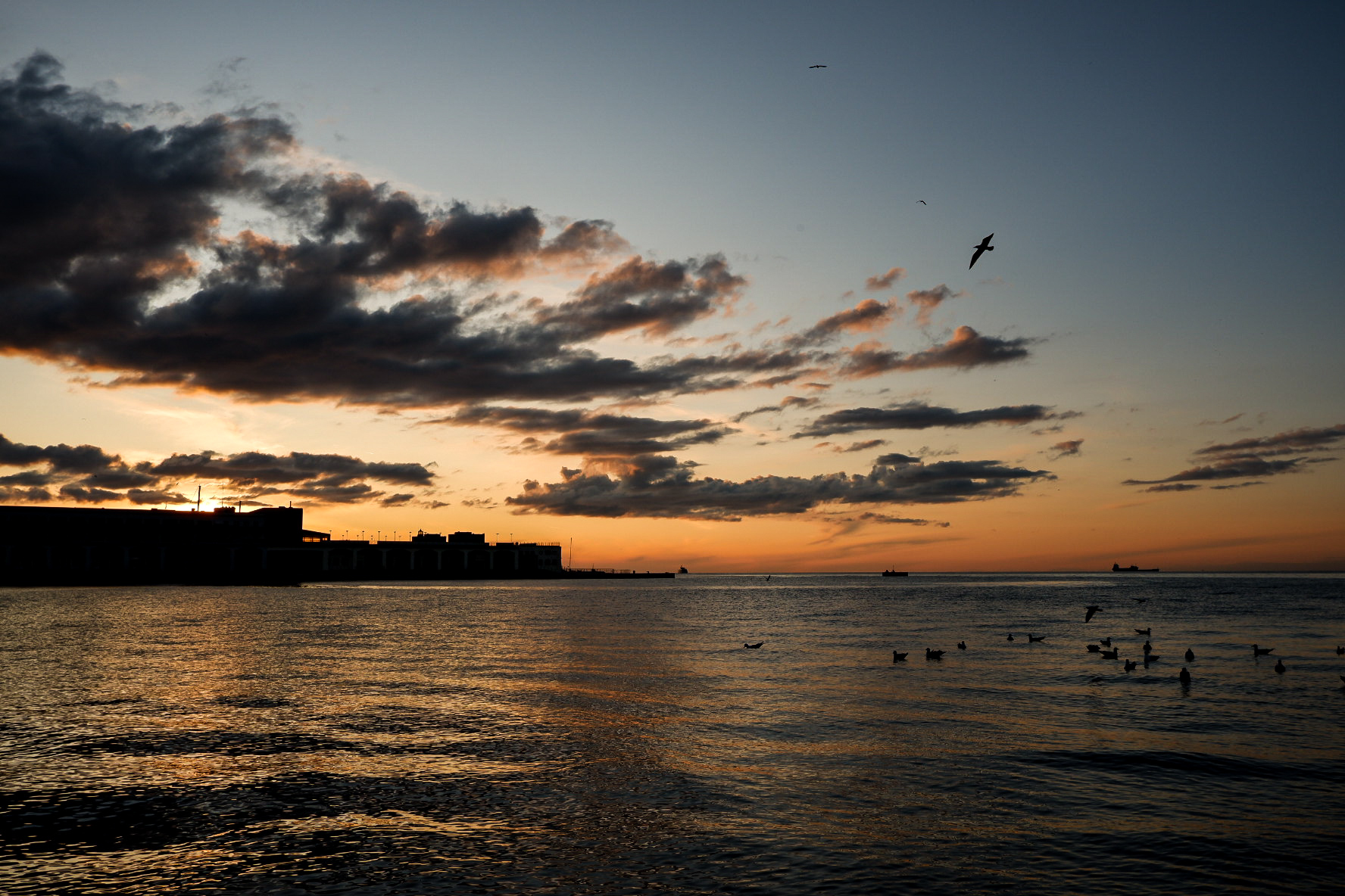 Trieste