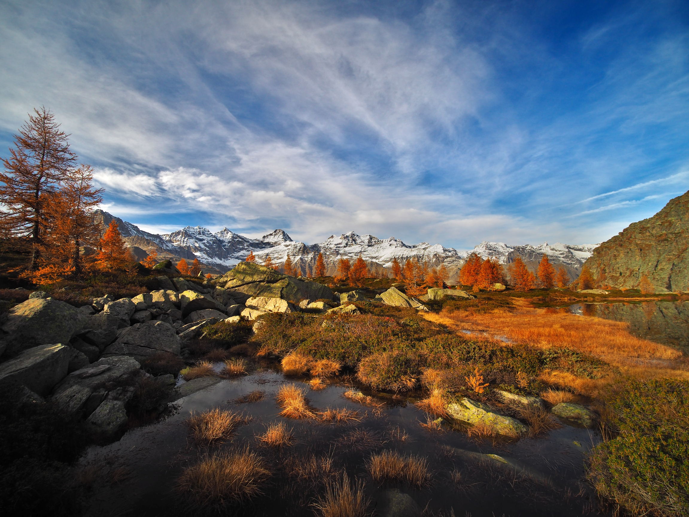 Autumn palette at altitude