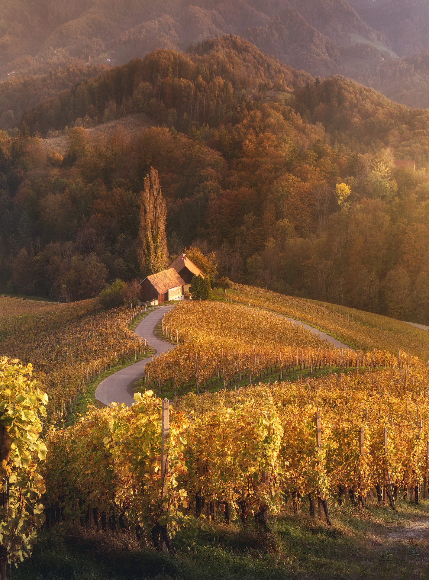 hearts around the world...