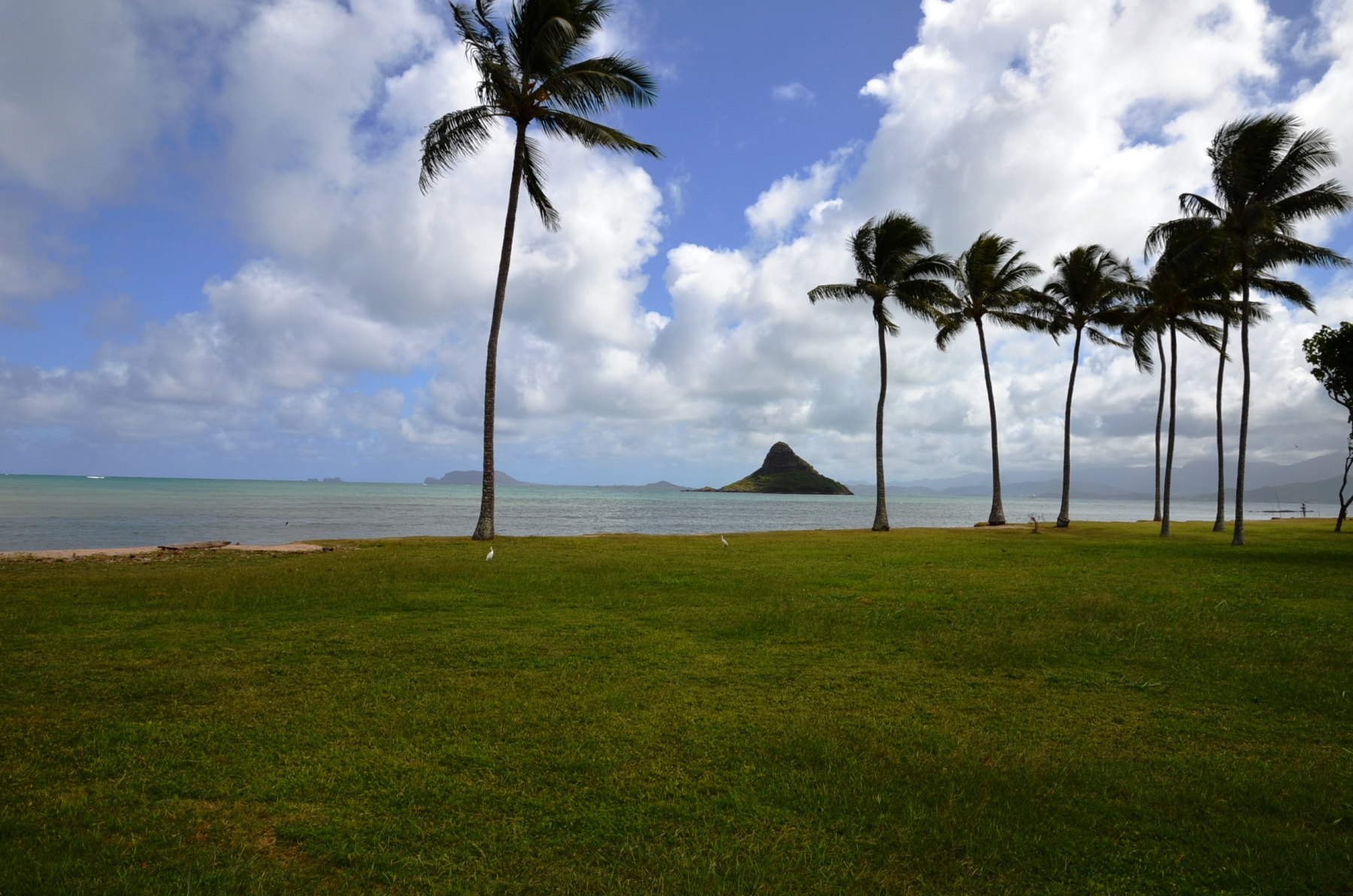 Kualoa Ranch ad oahu