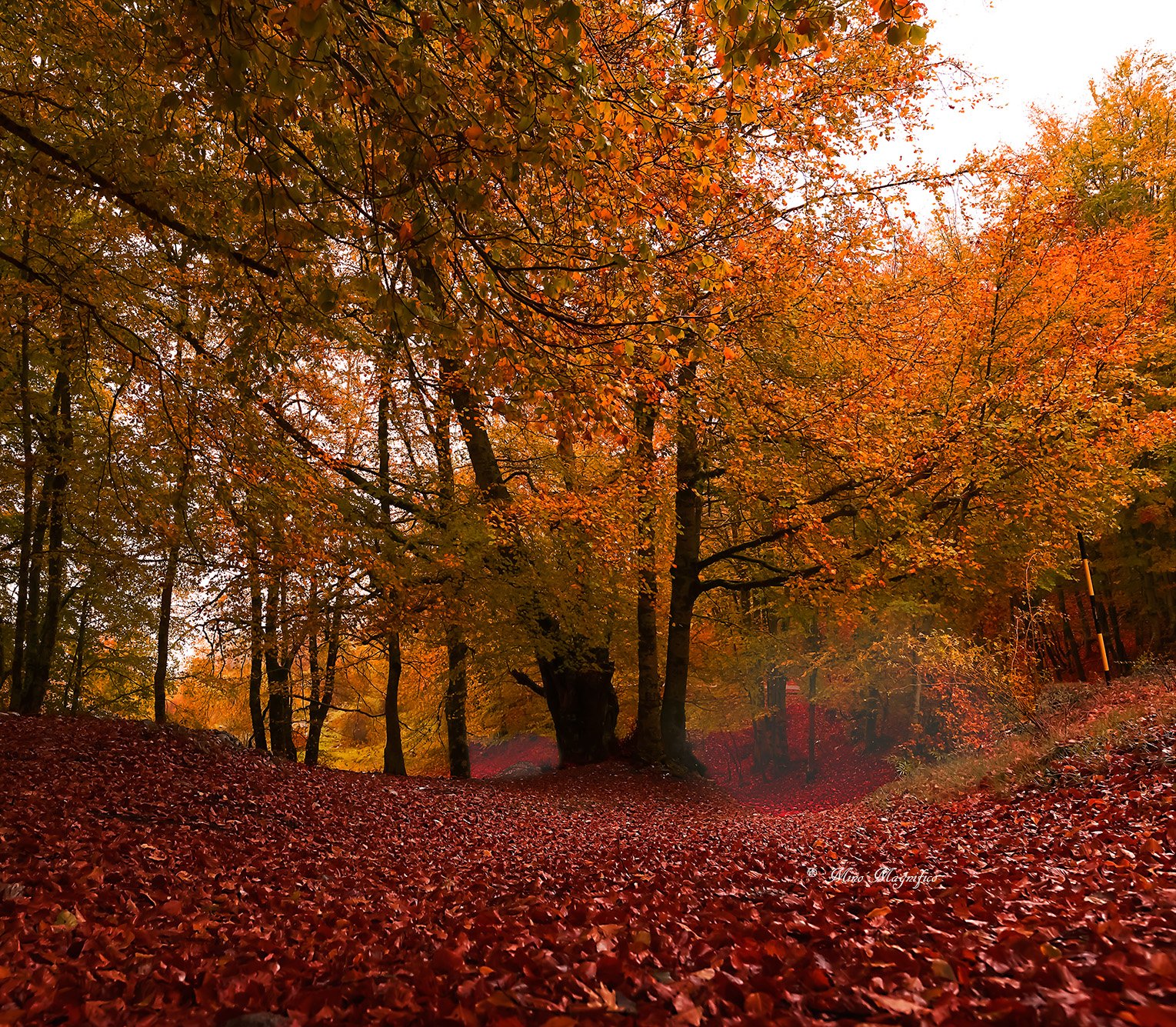 Autunno