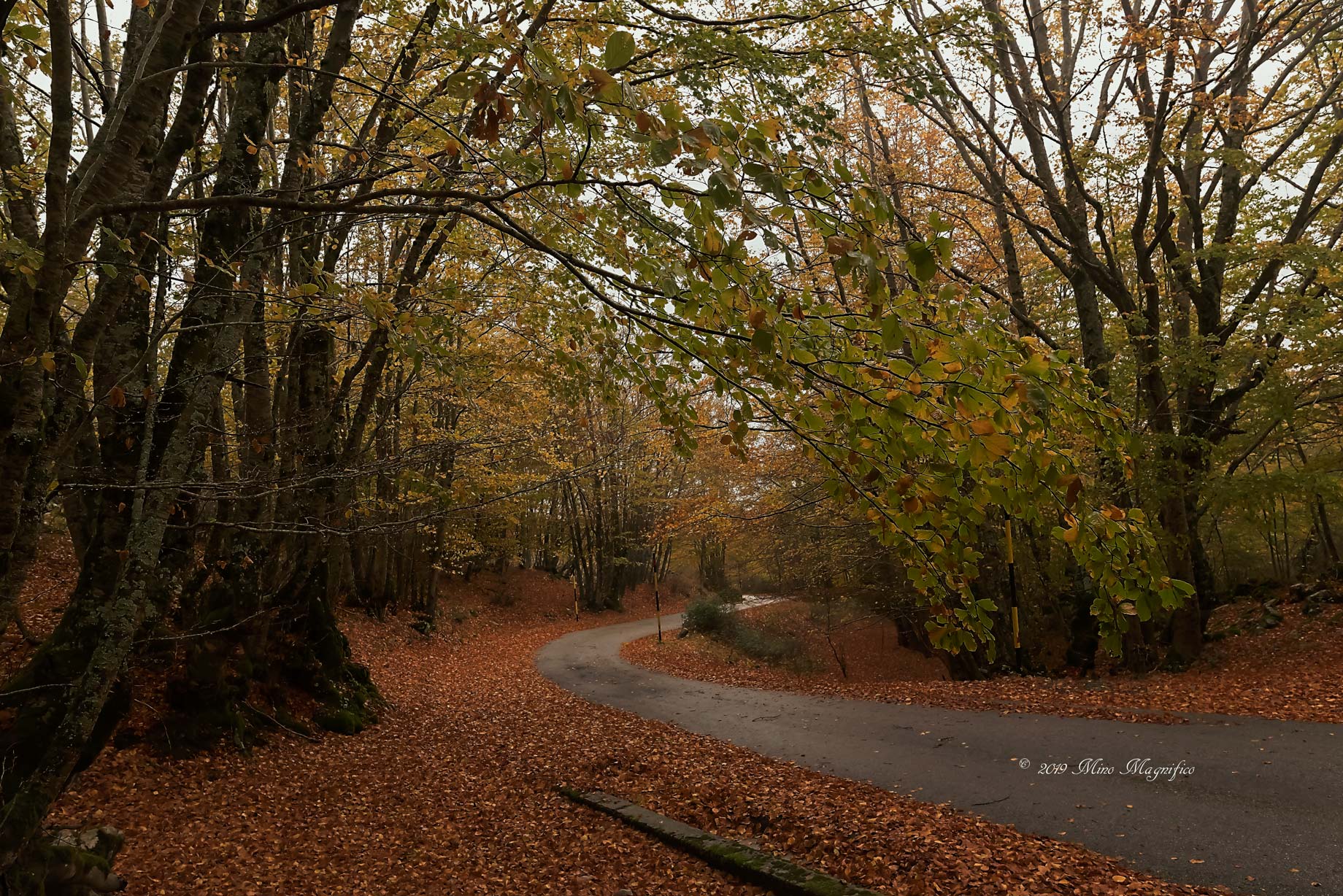 Autunno 2019