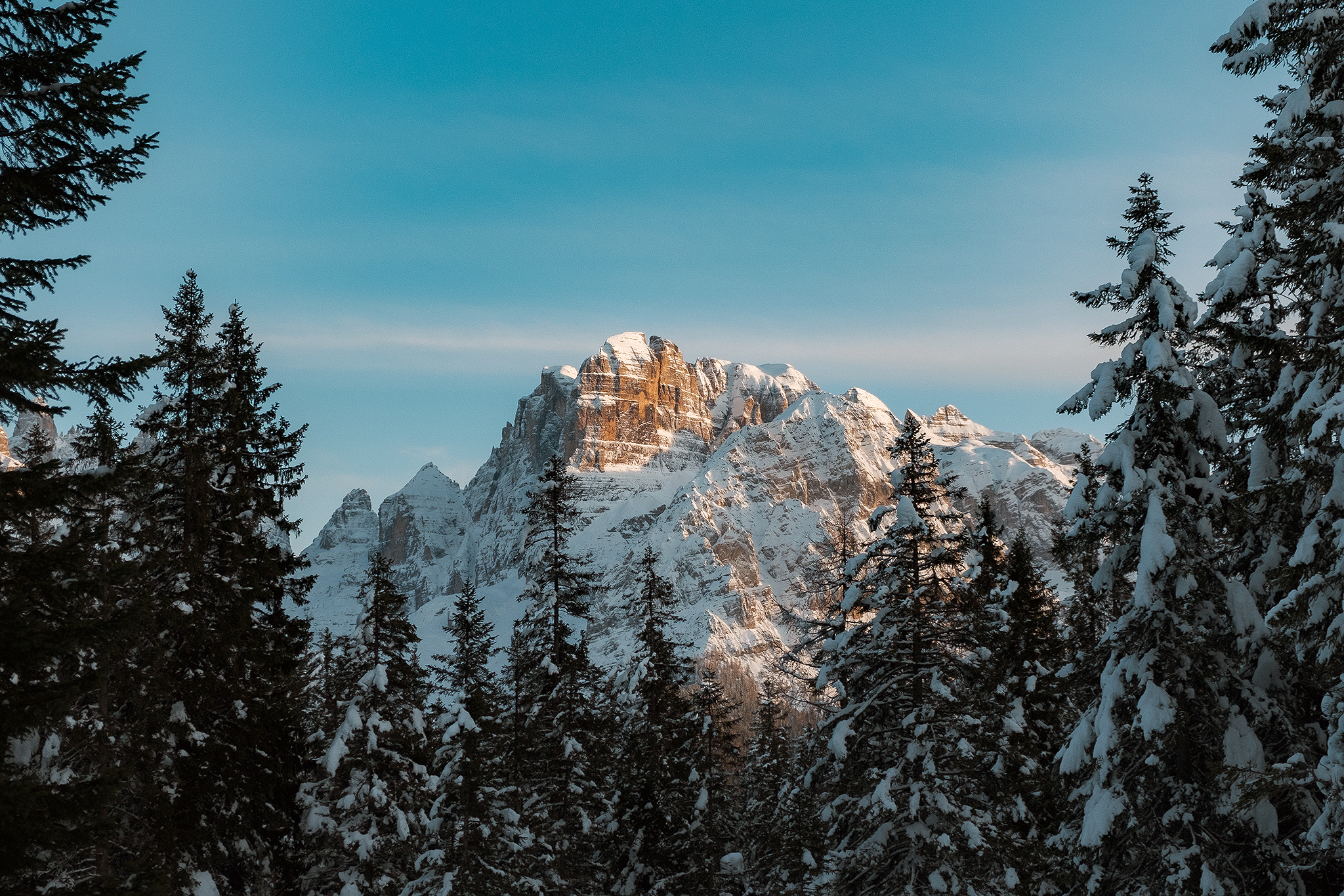 Crozzon di Brenta tra gli abeti