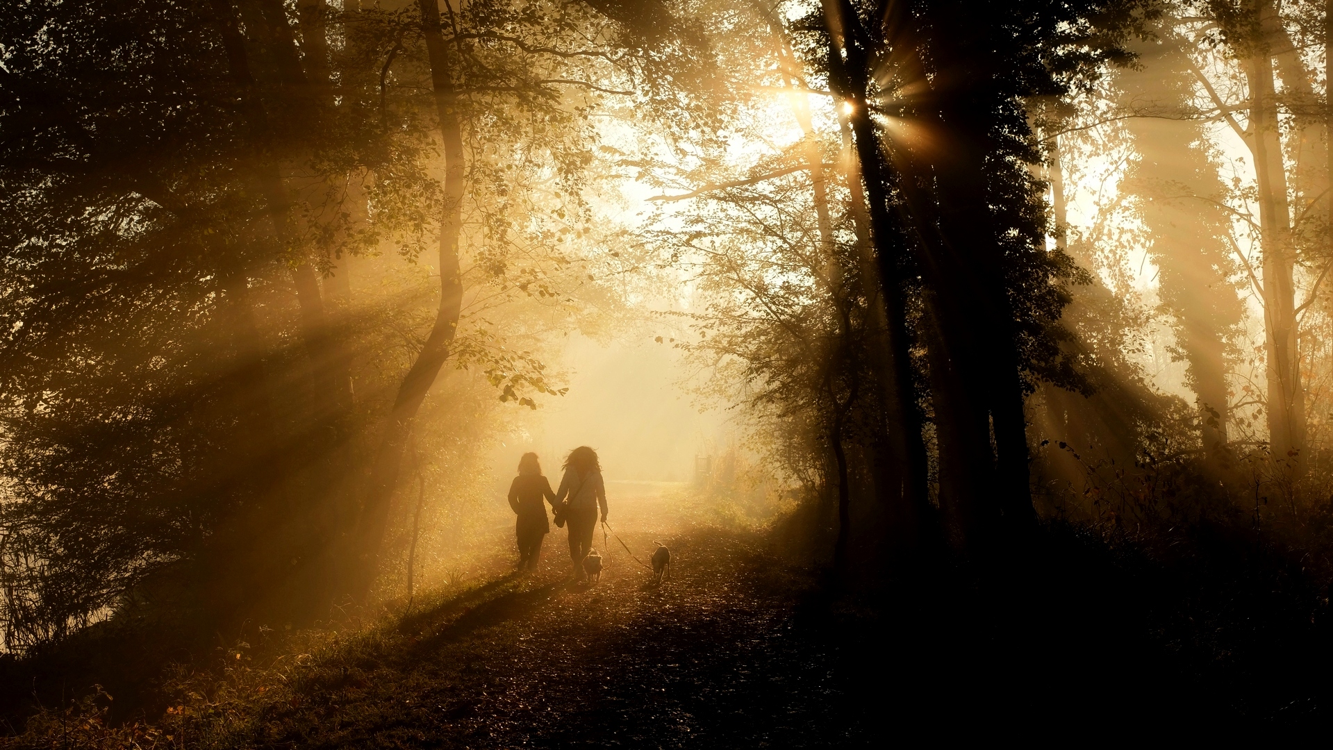 STROLLING IN THE MIST