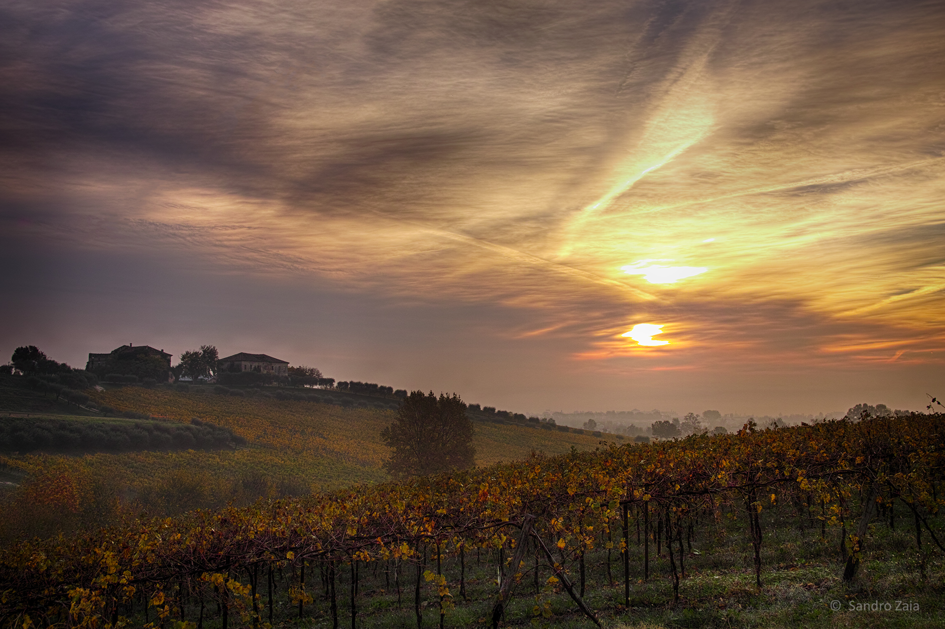 Colline di Ogliano all'alba