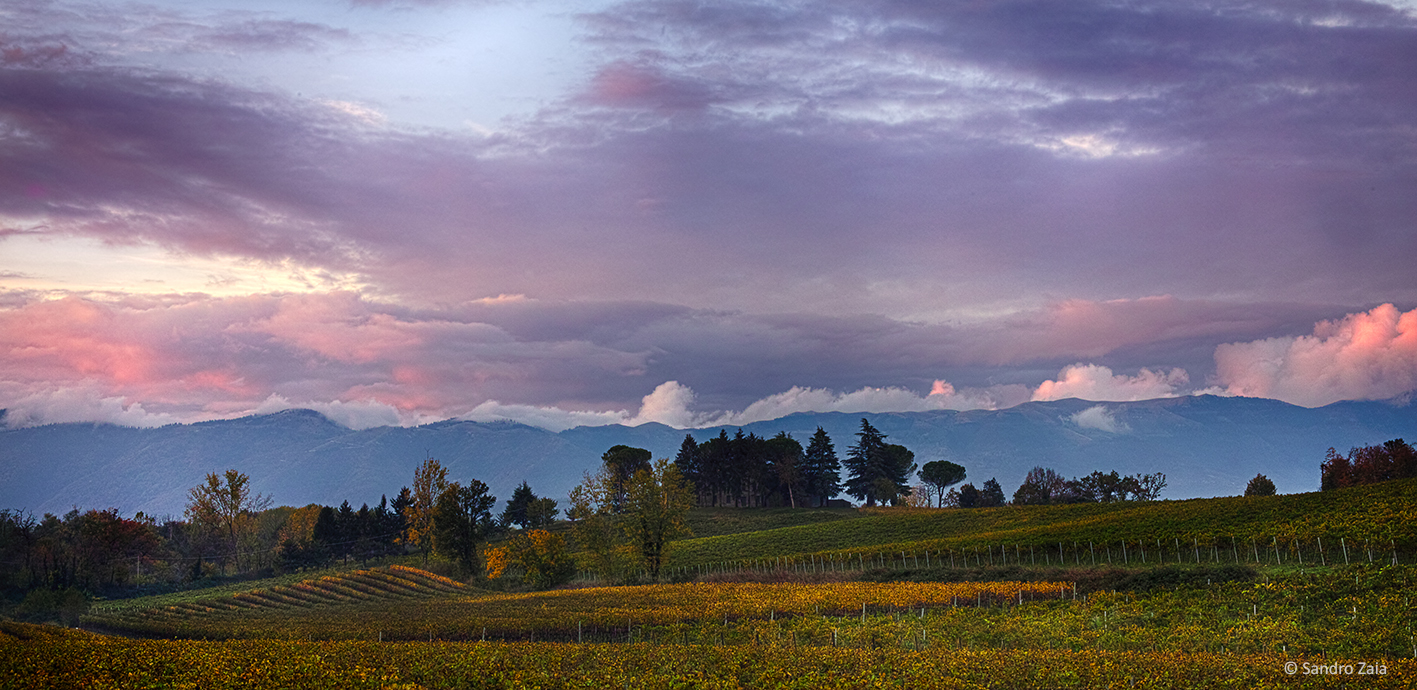 Colline di Ogliano al tramonto