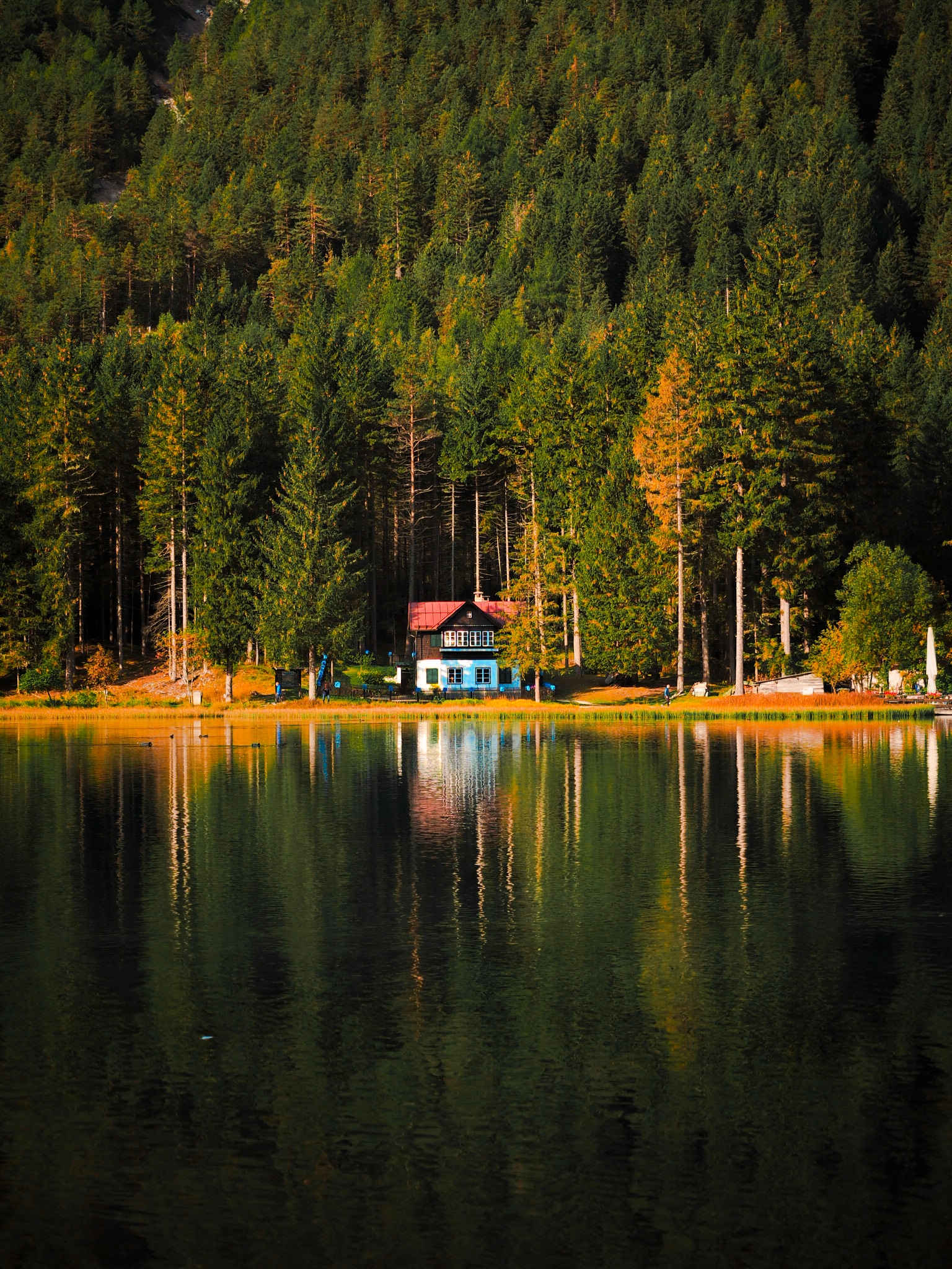 Lake Dobbiaco in autumn