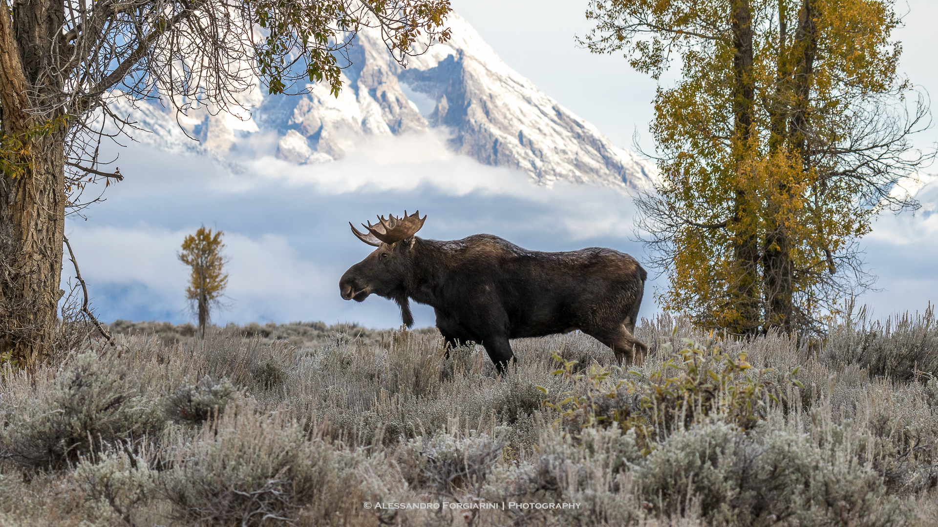 Teton Range