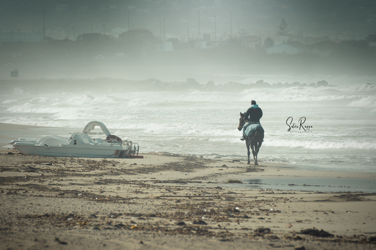 Il Cavaliere...solitario