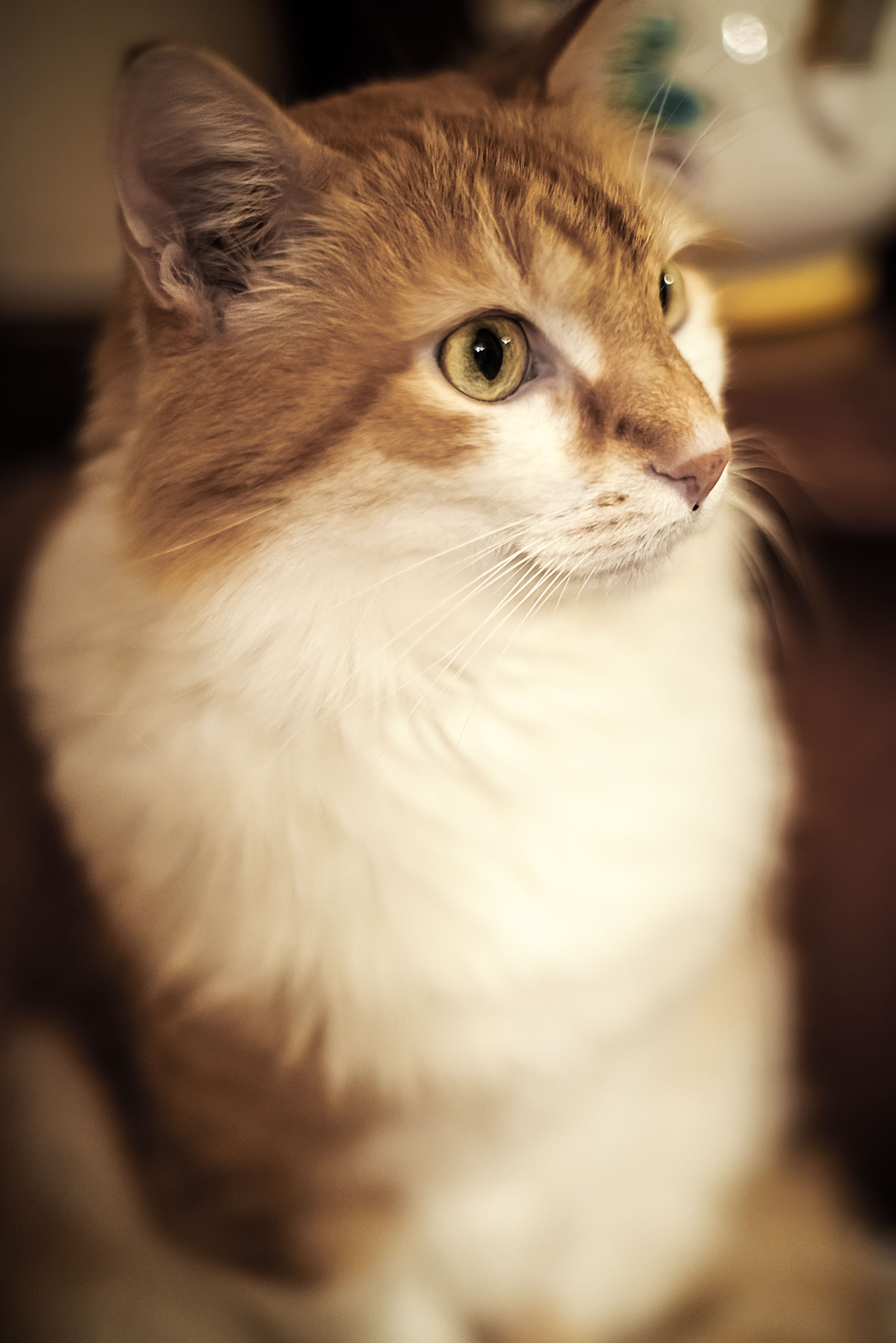 Portrait FF a Micione take 2