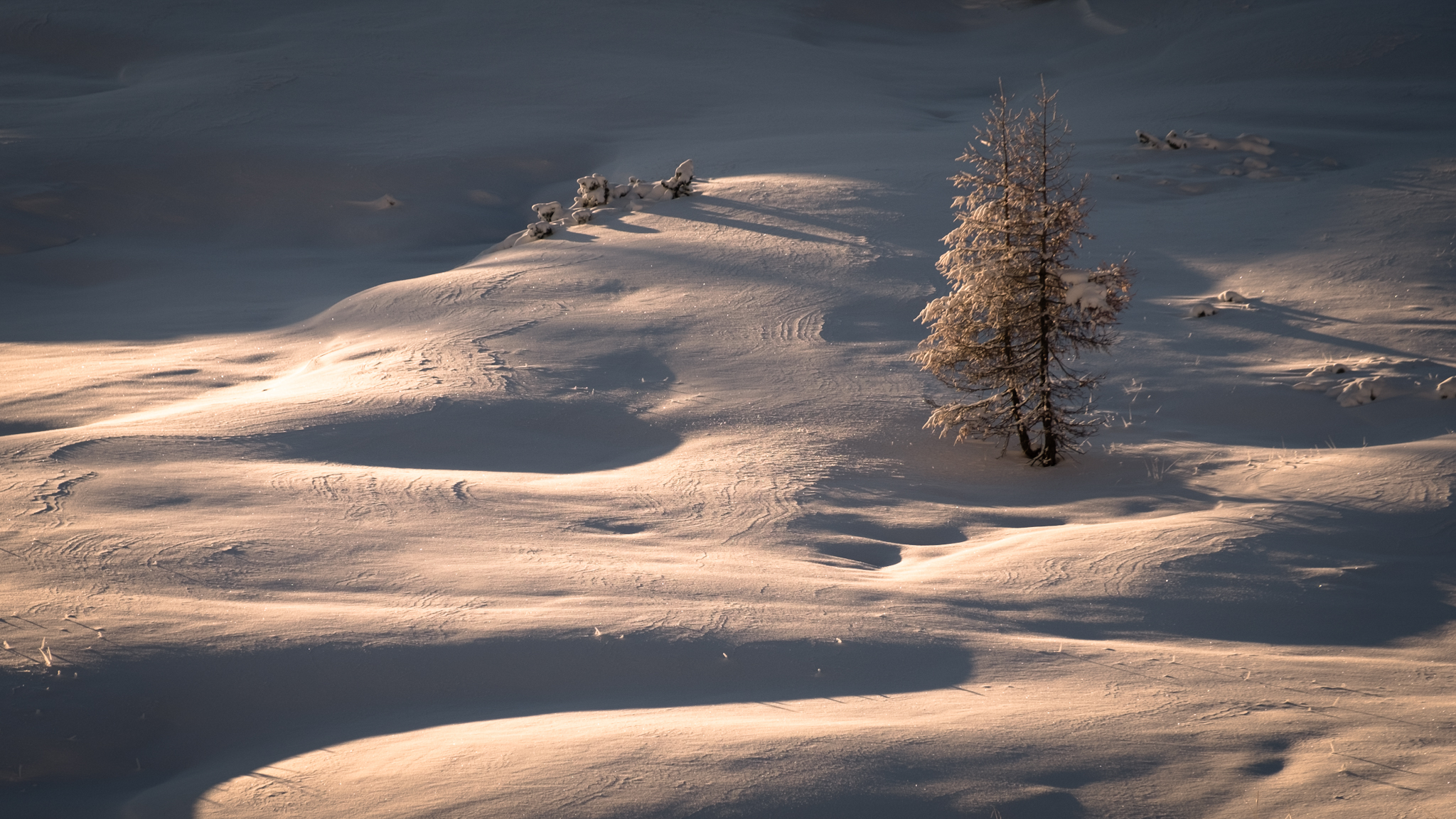 Solitude,