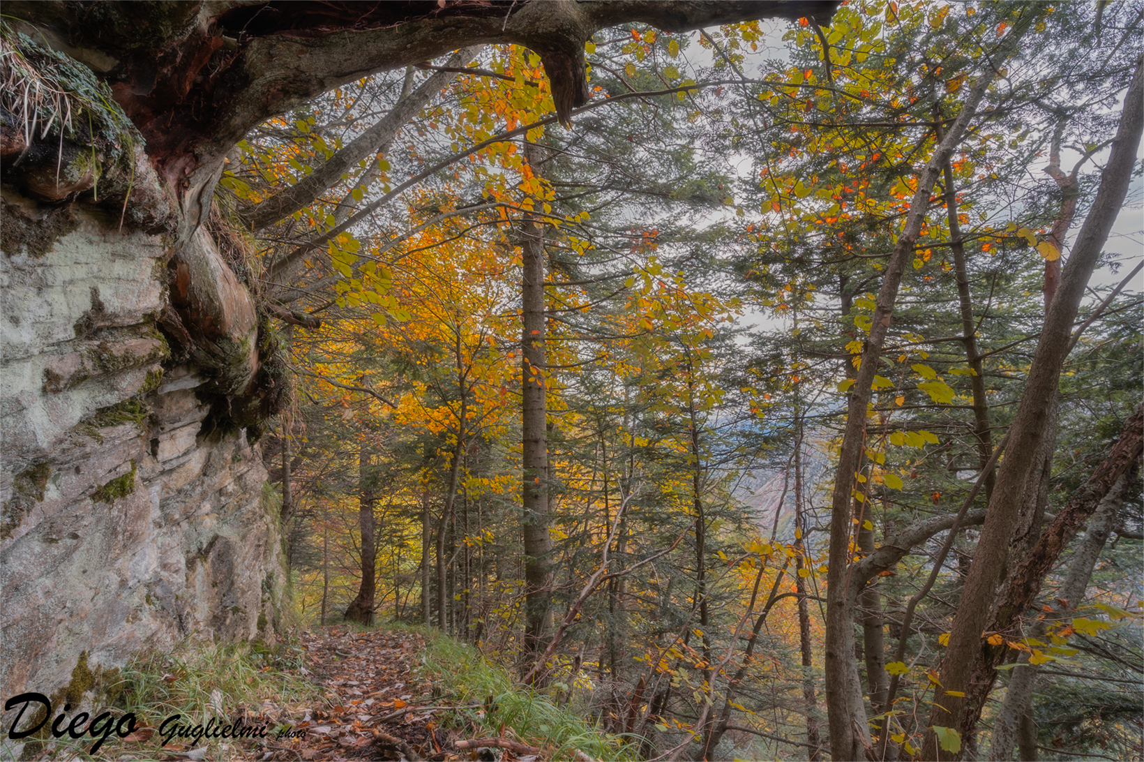 Autunno nei boschi di Gouta