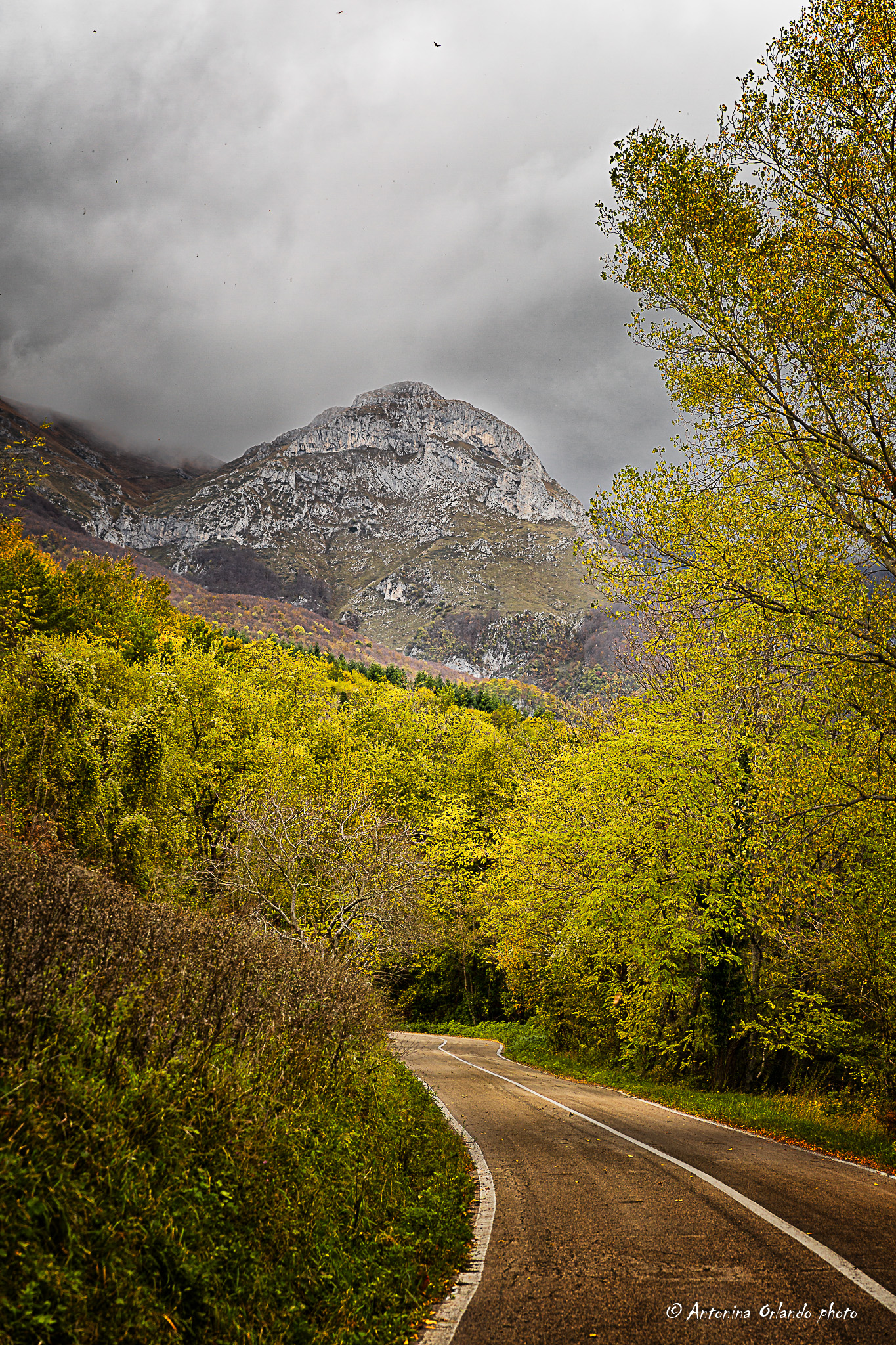 Autumn meets winter....