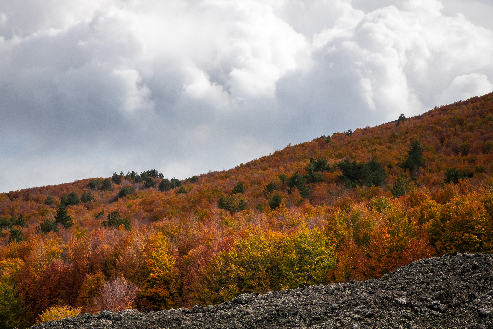 Angoli di paradiso autunnali #3