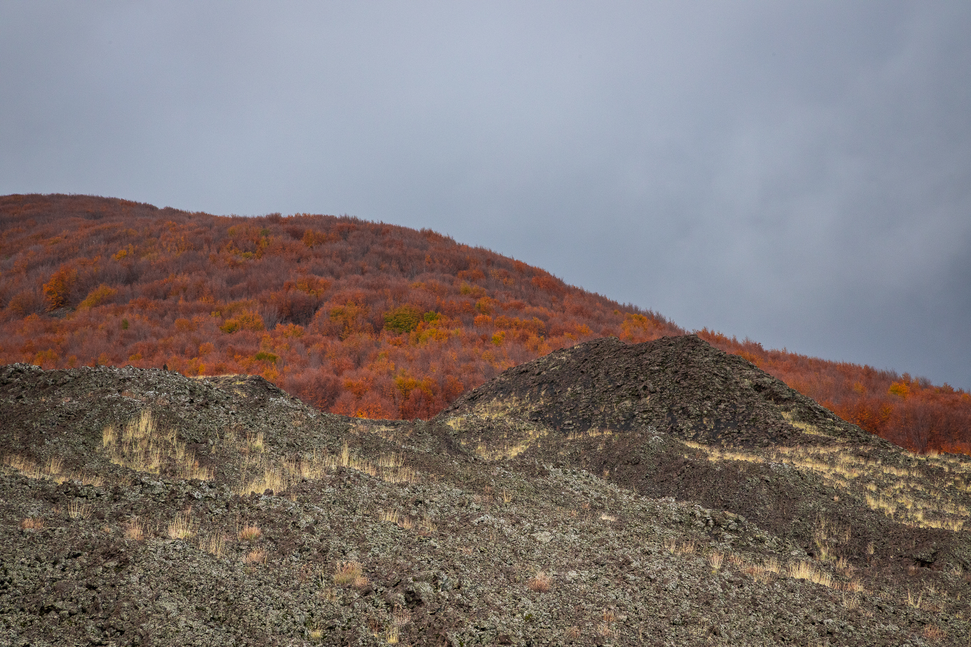 Angoli di paradiso autunnali #5