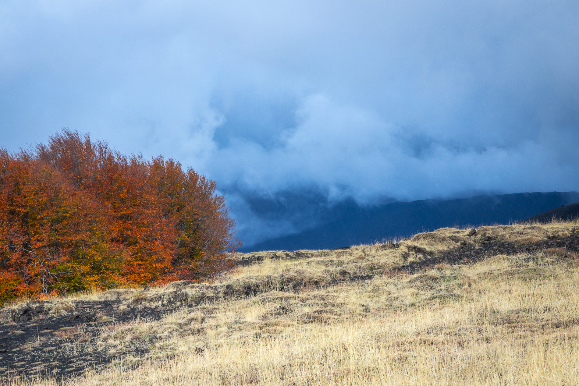 Angoli di paradiso autunnali #6