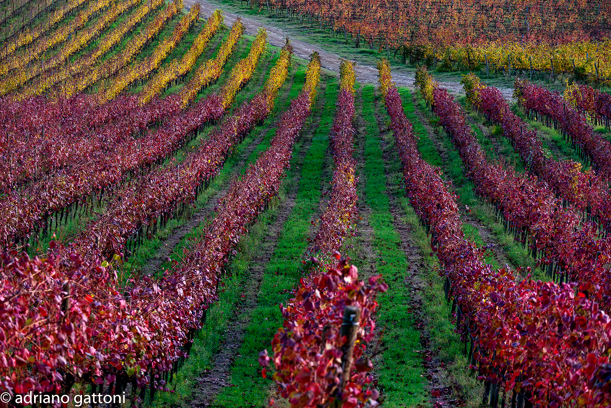 The colors of autumn