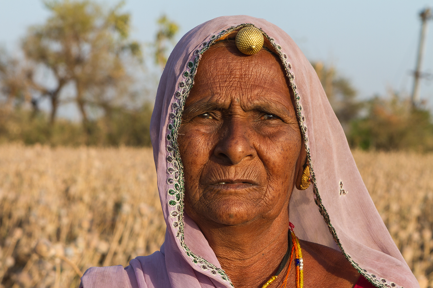 La raccoglitrice di oppio