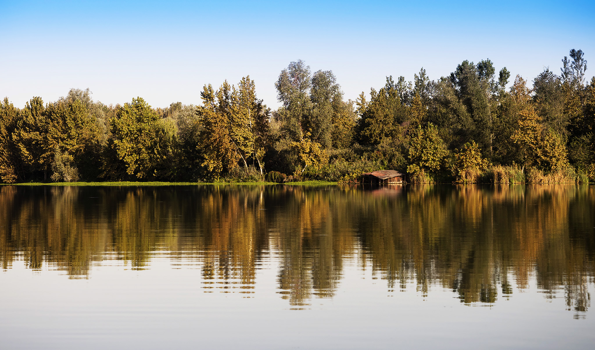 Upper Lake of Mantua