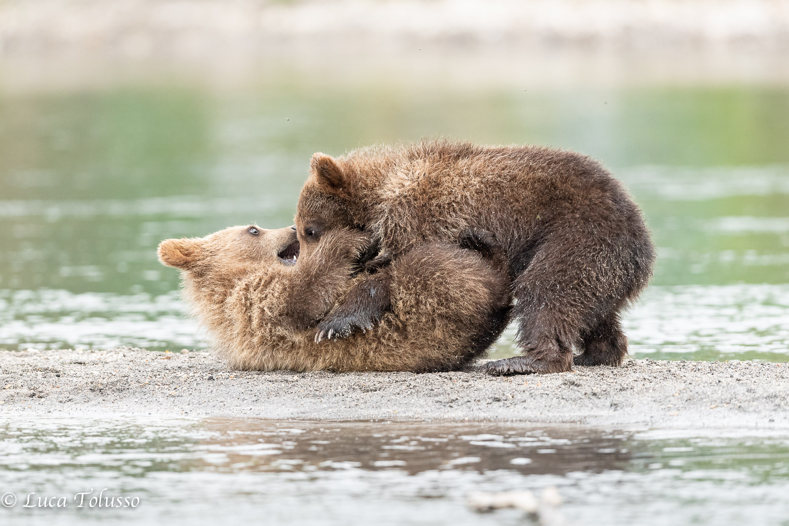 giochi sulla spiaggia