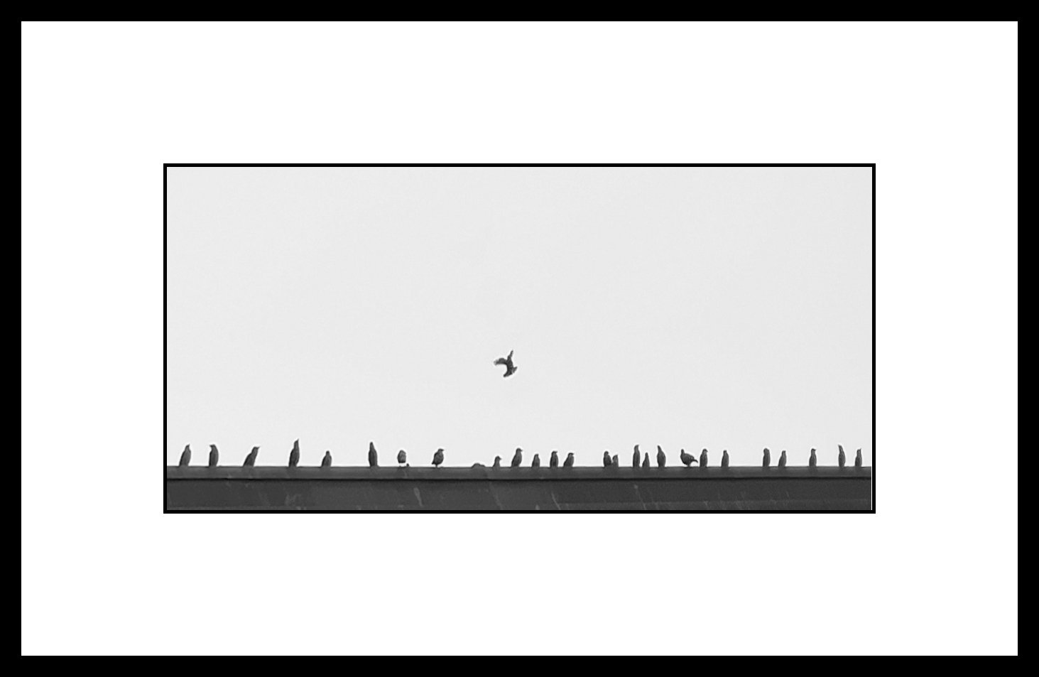 is there room for me?