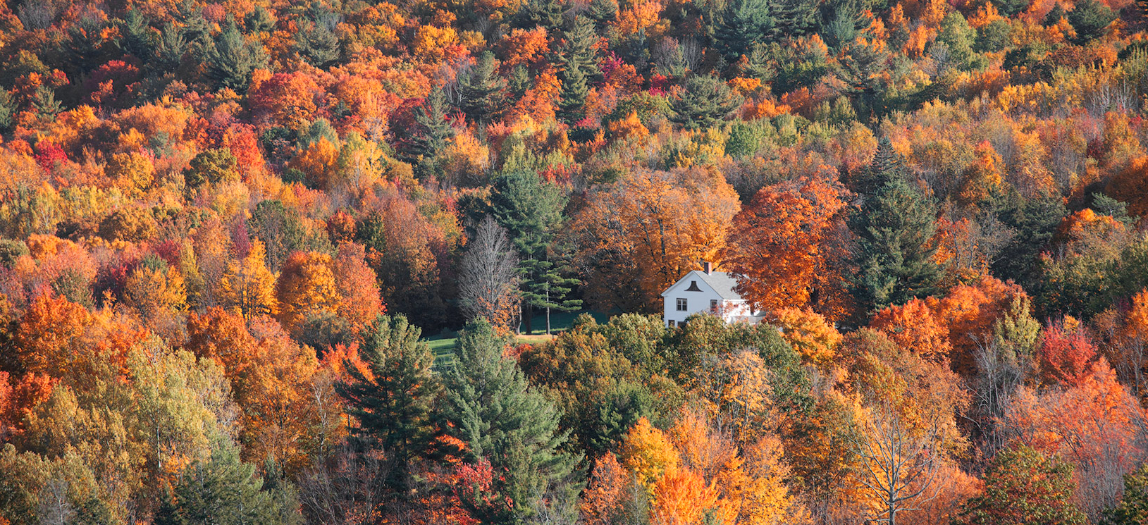 Volevo una casetta... immersa nei colori dell'autunno