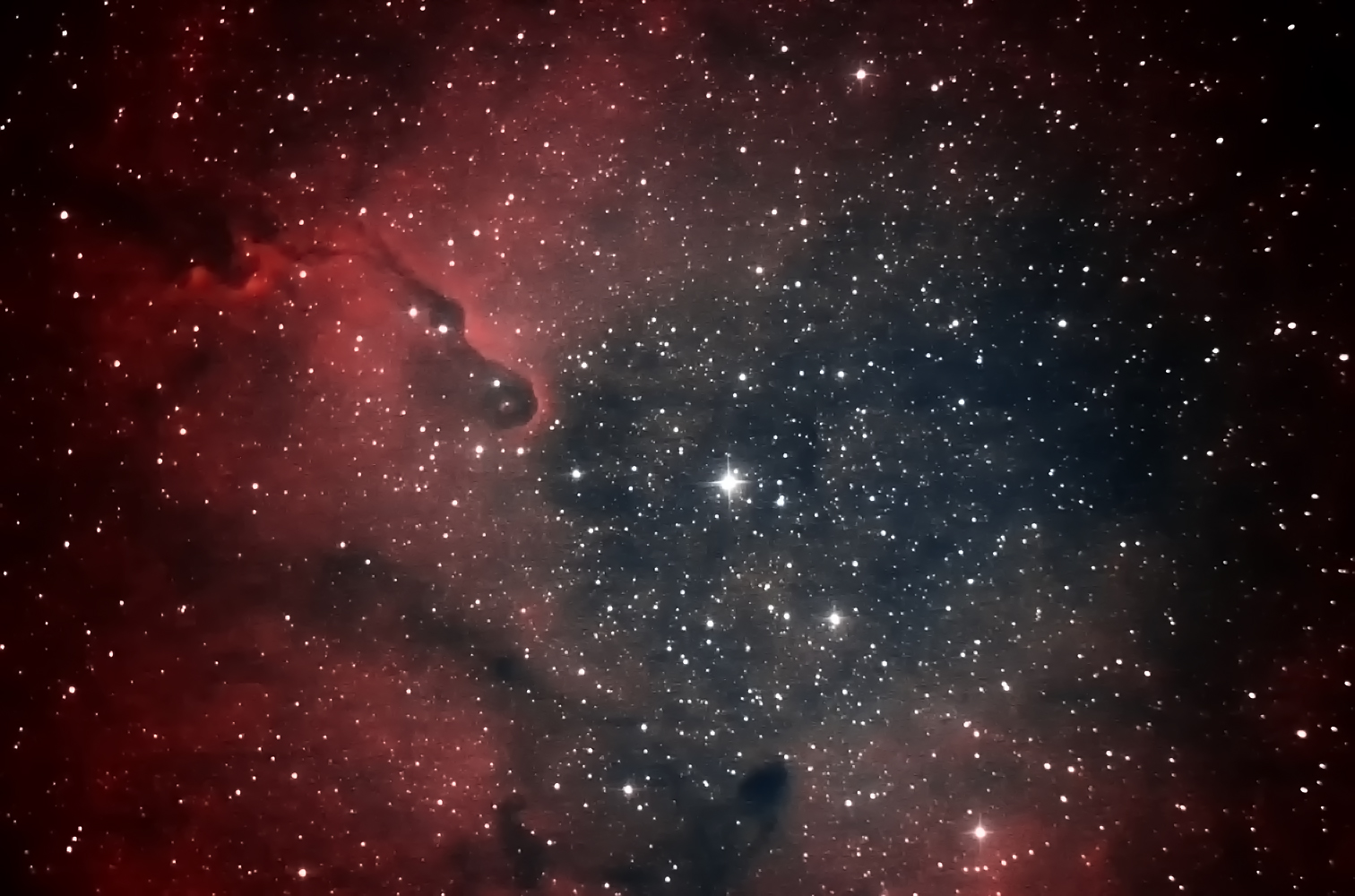 IC 1396 Proboscide elefante in Cepheus,  rielaborazione