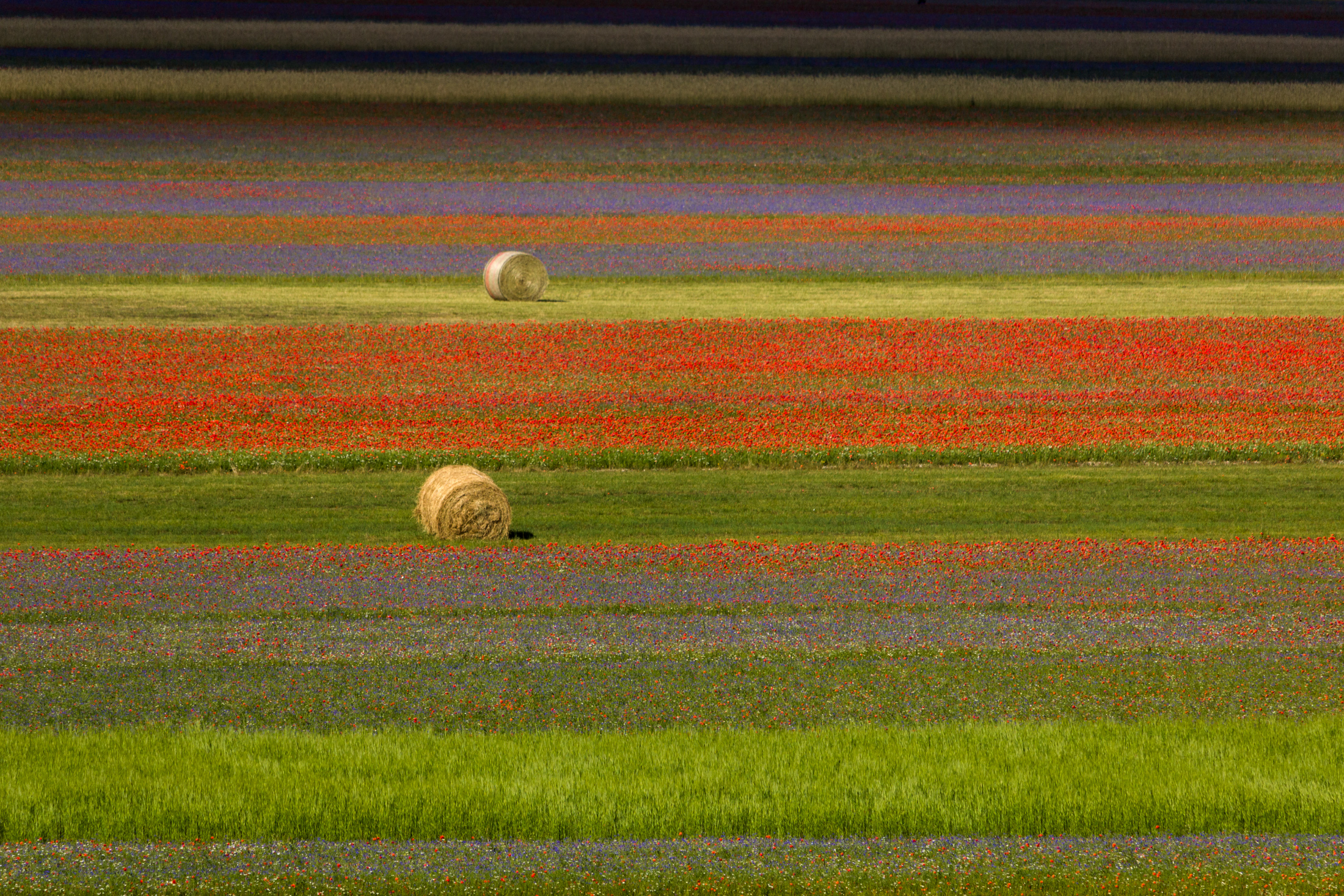 Castelluccio Classic
