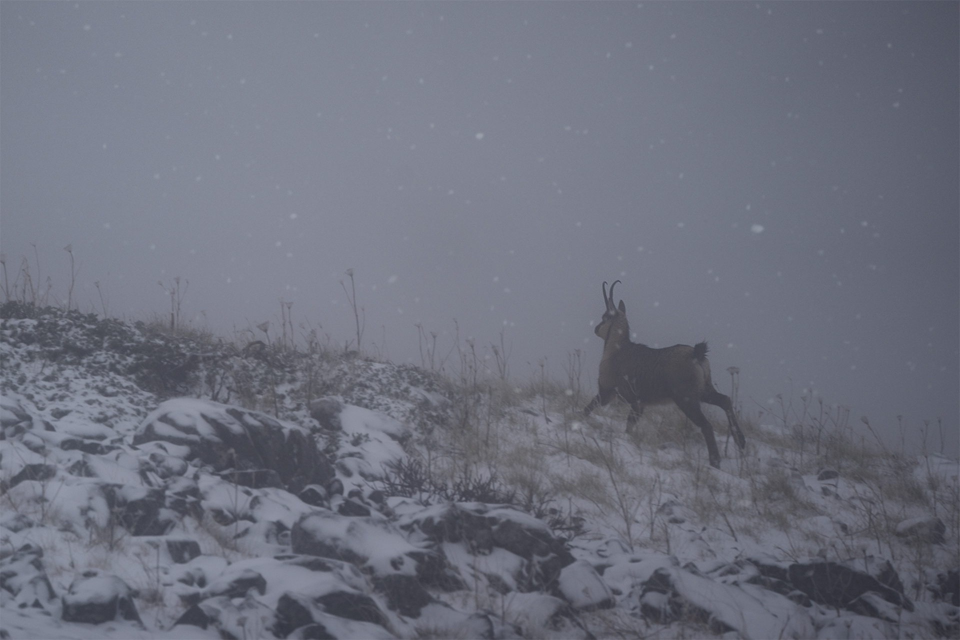 Escaping from the storm