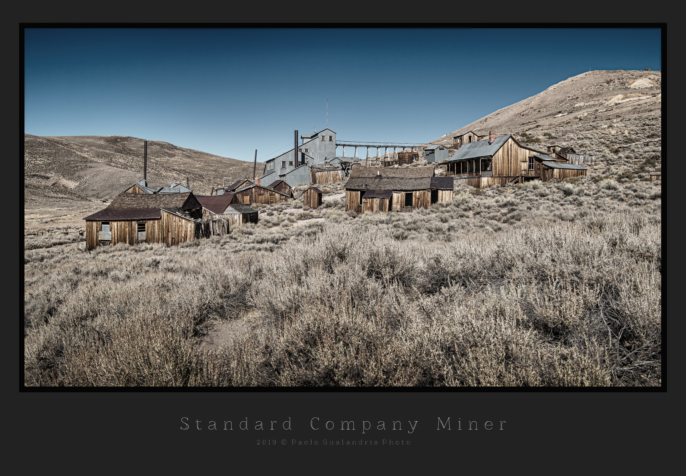 Standard Company Miner