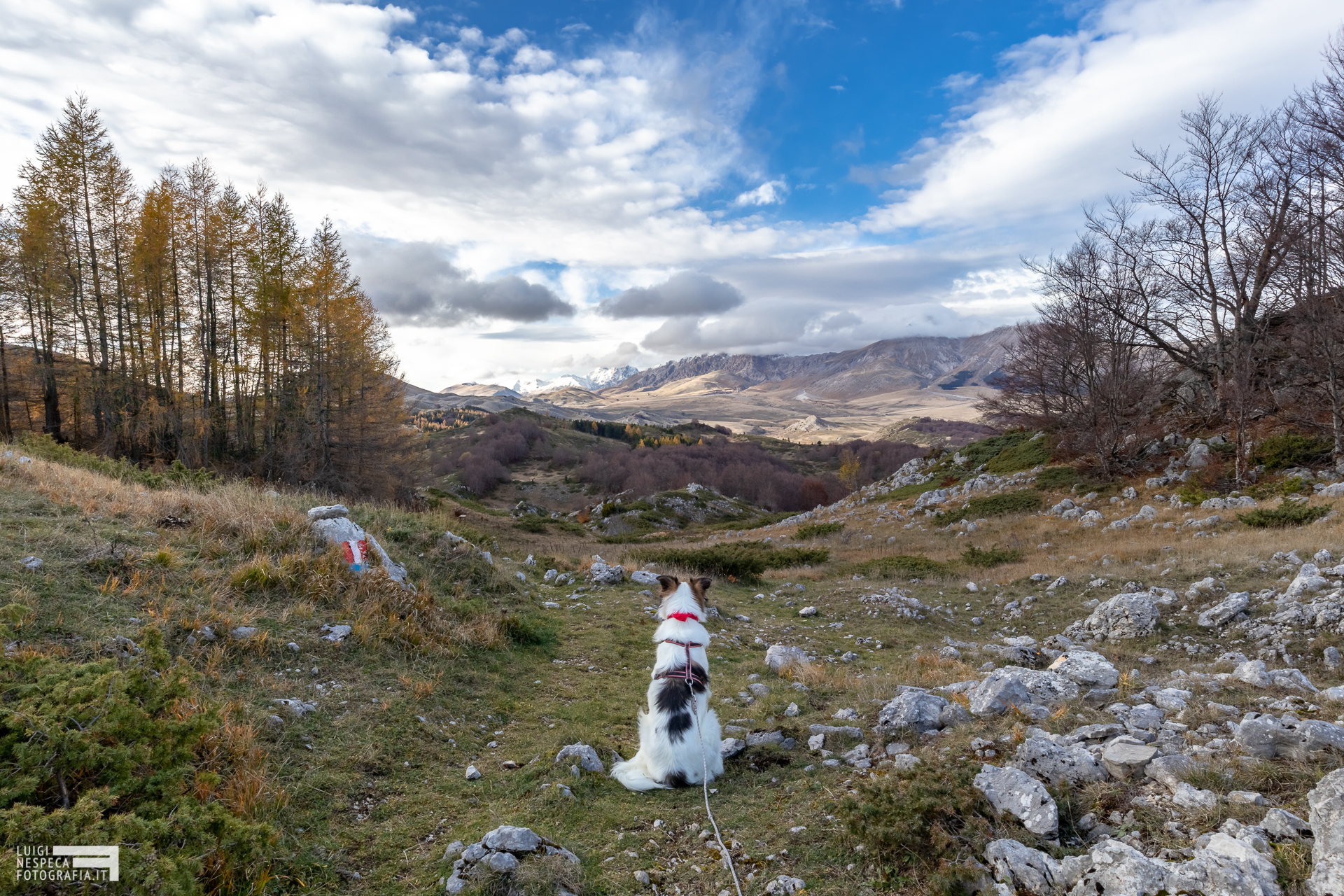 Melody e la contemplazione
