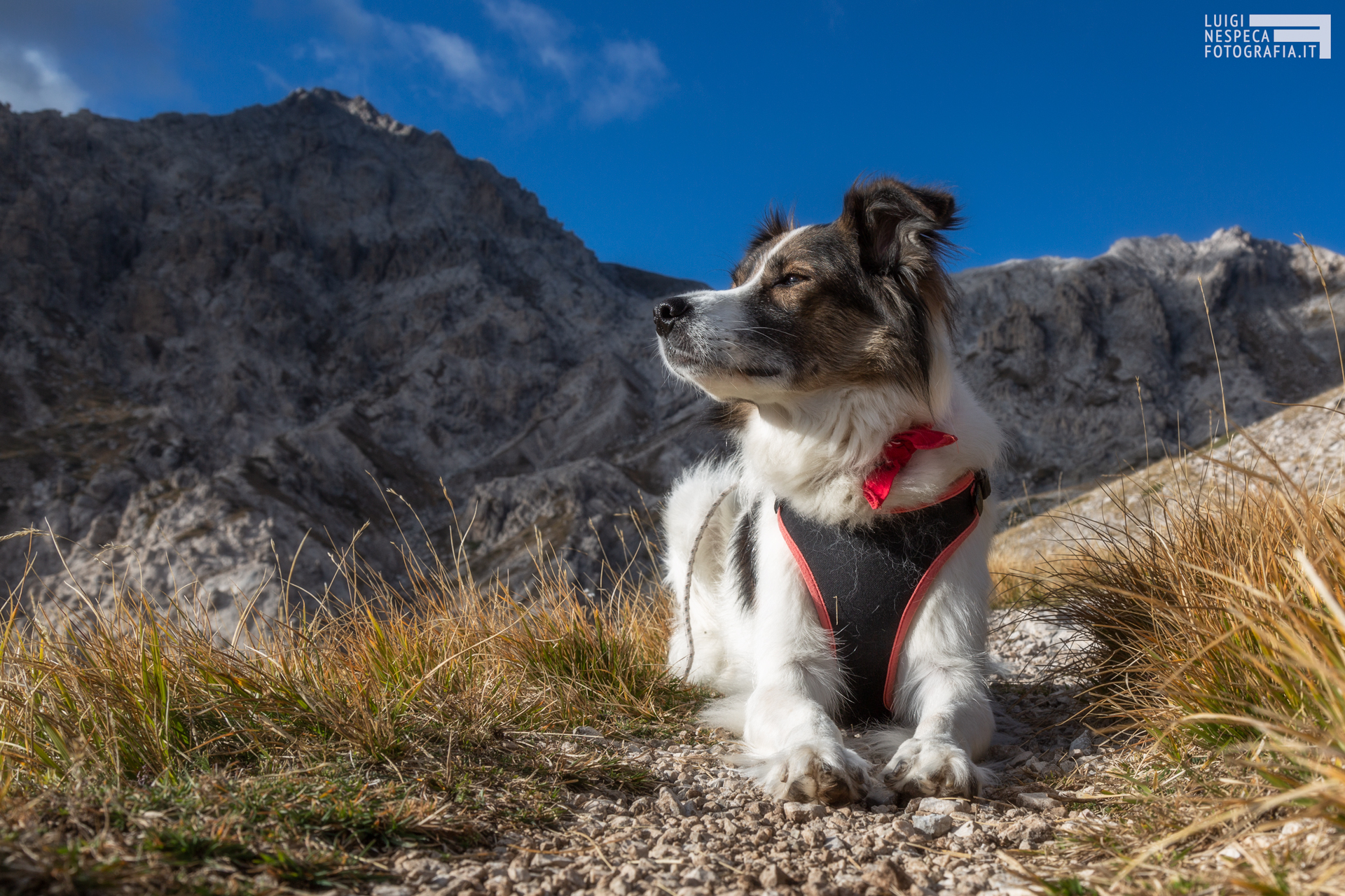 Melody e il Monte Prena