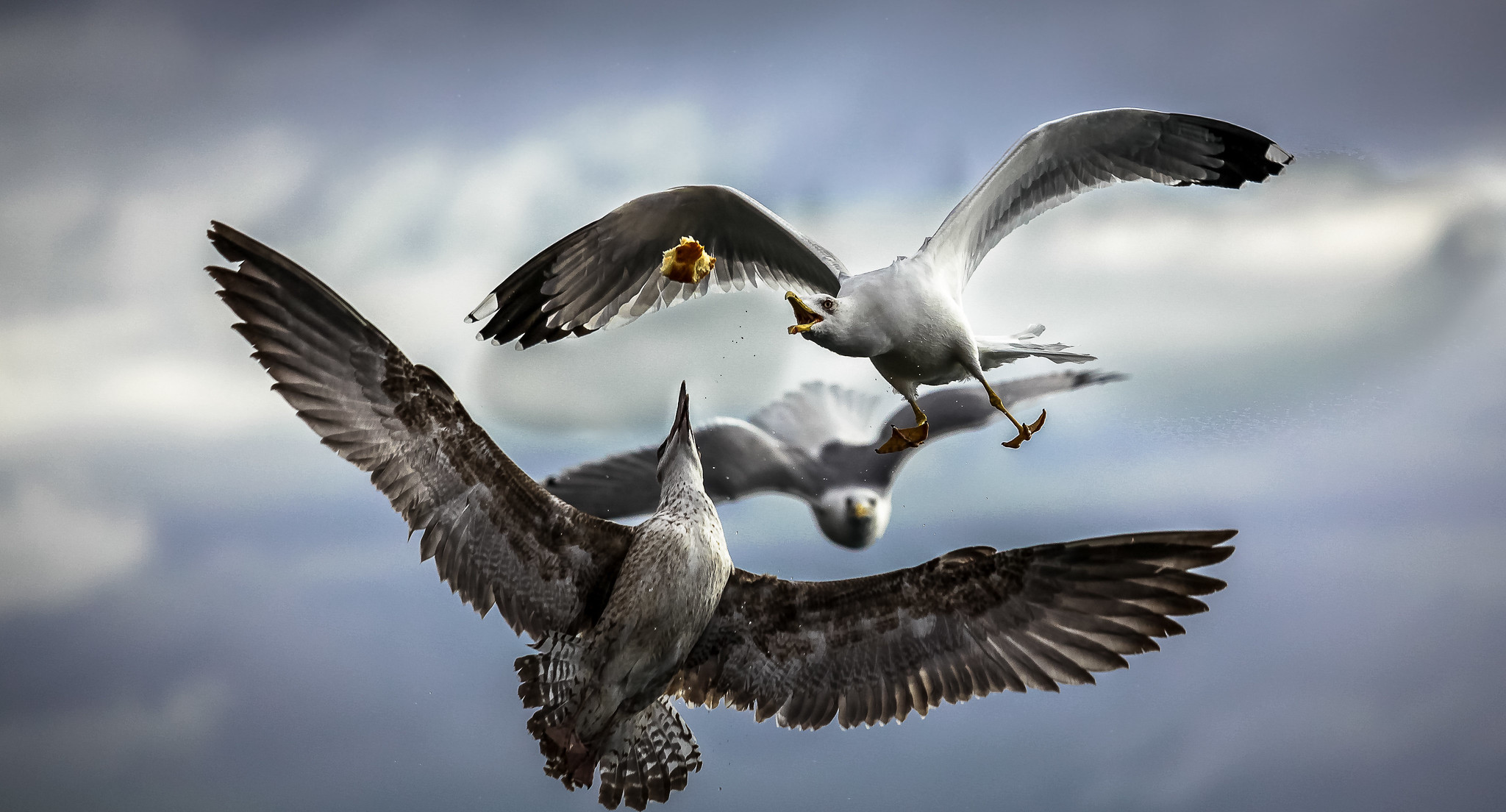 l'aria di mare mette appetito