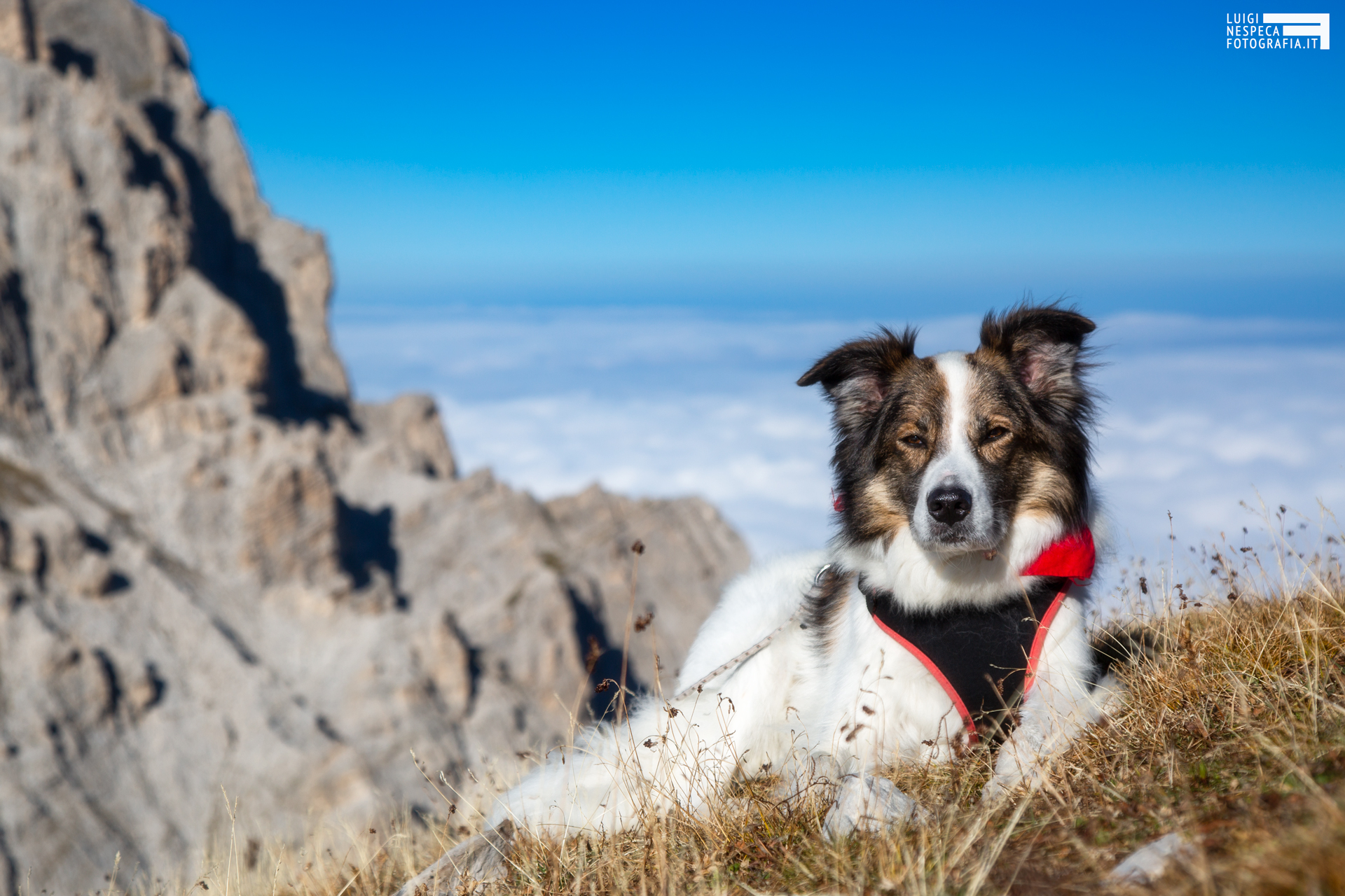 Melody e il Corno Grande