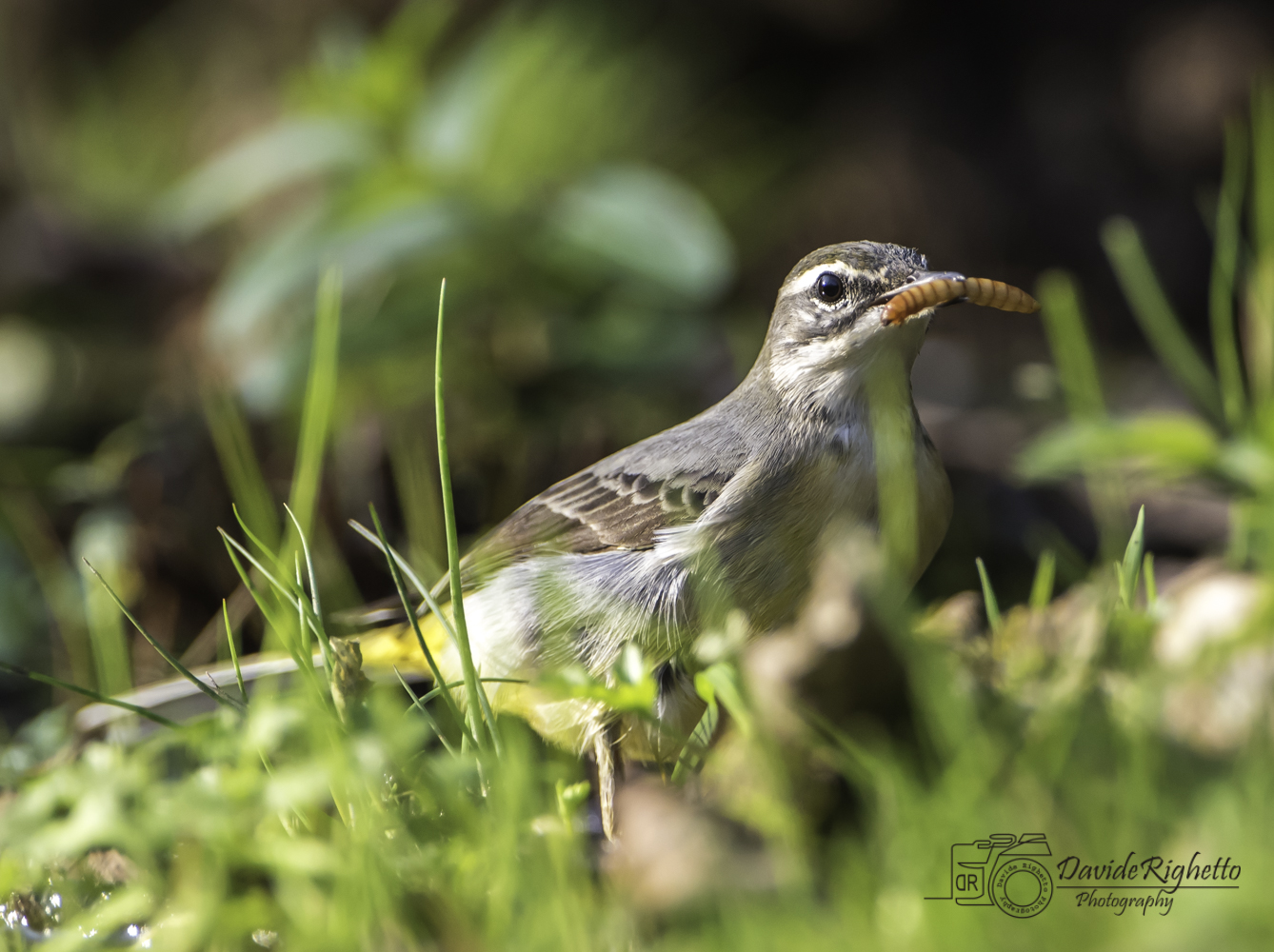 After the rain you eat....