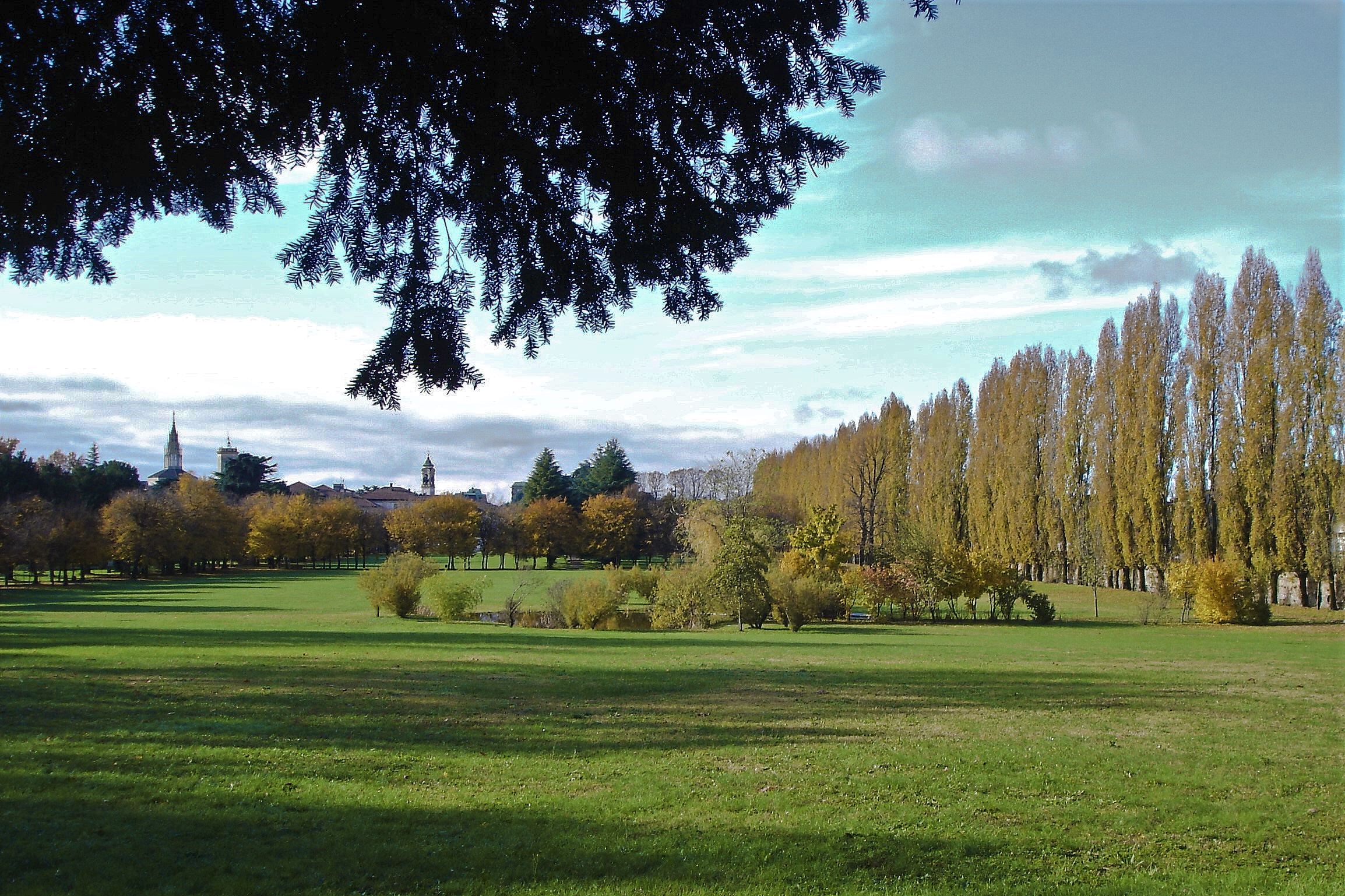 colori al parco Borromeo Cesano Maderno MB