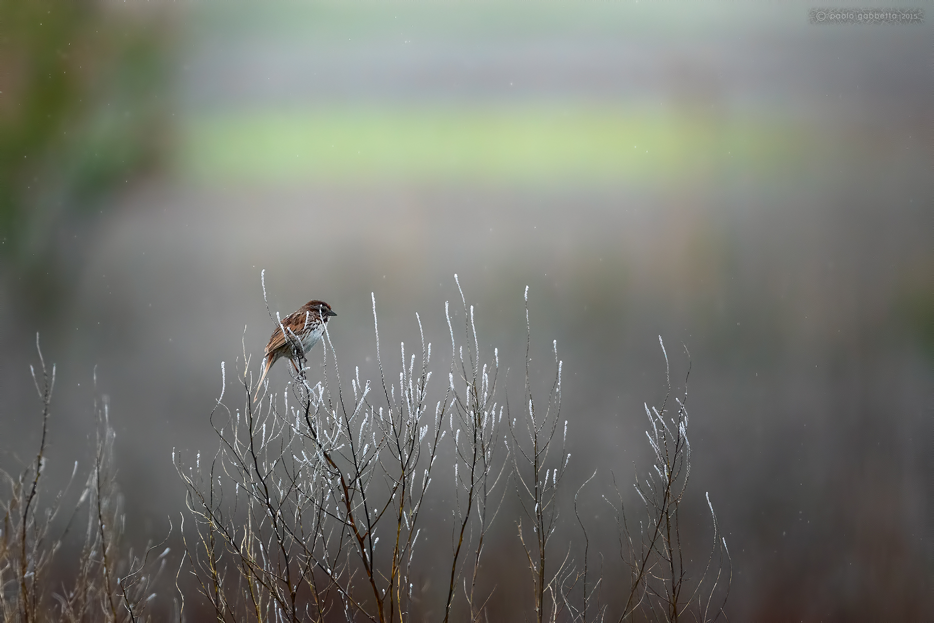 The strip is green... Hope
