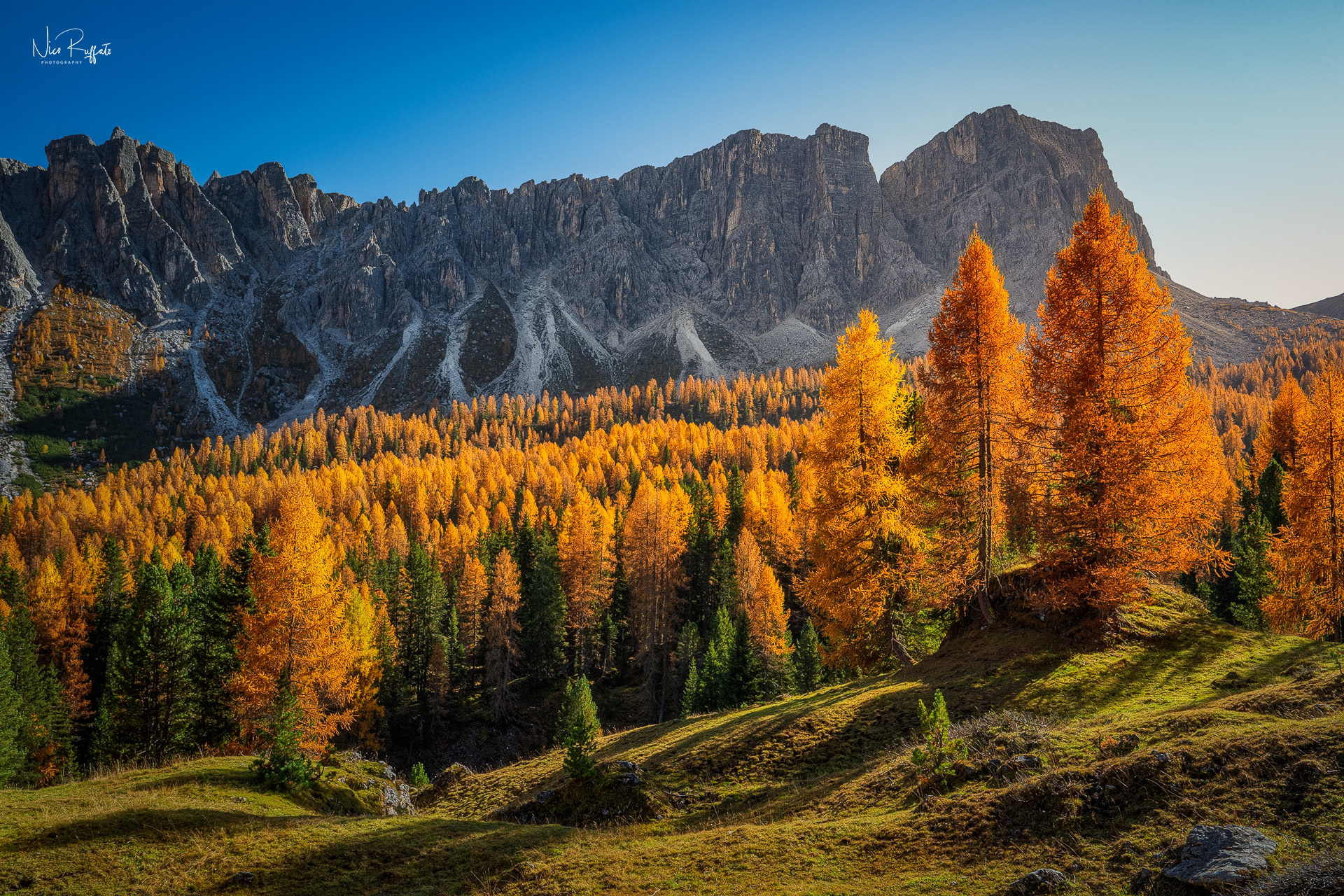 The unparalleled colors of autumn