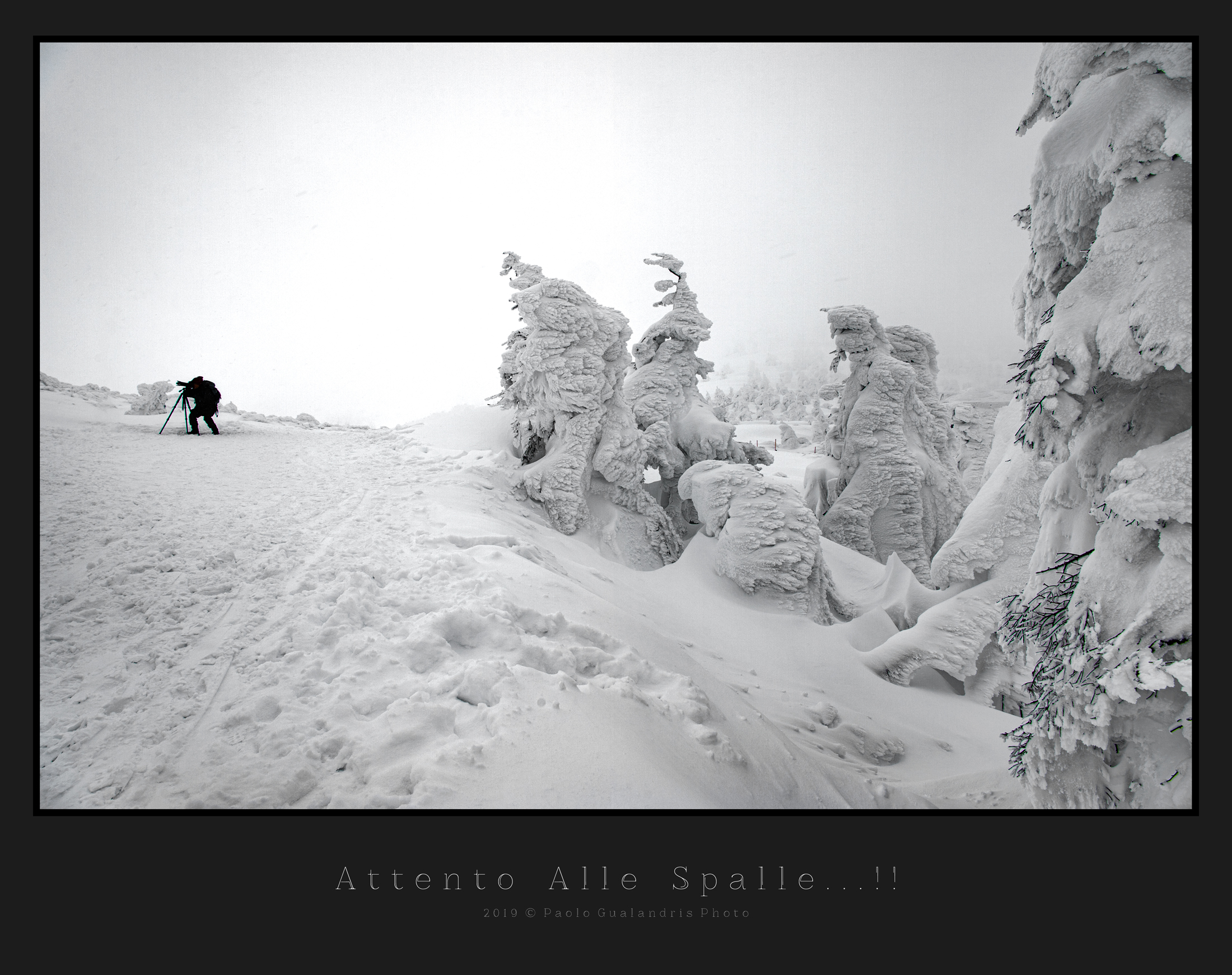 Attento Alle Spalle...!!