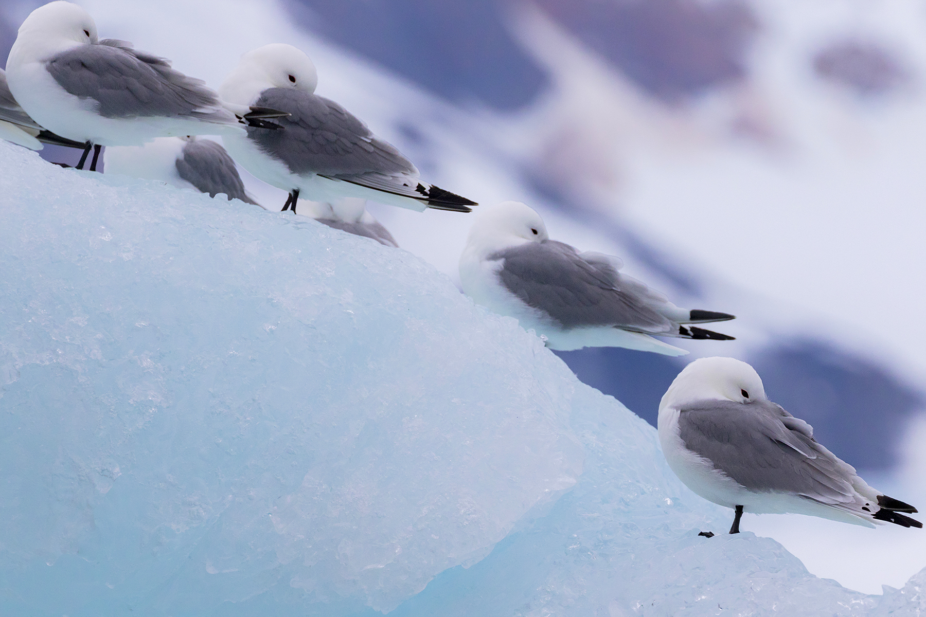 but that's i'm cold???