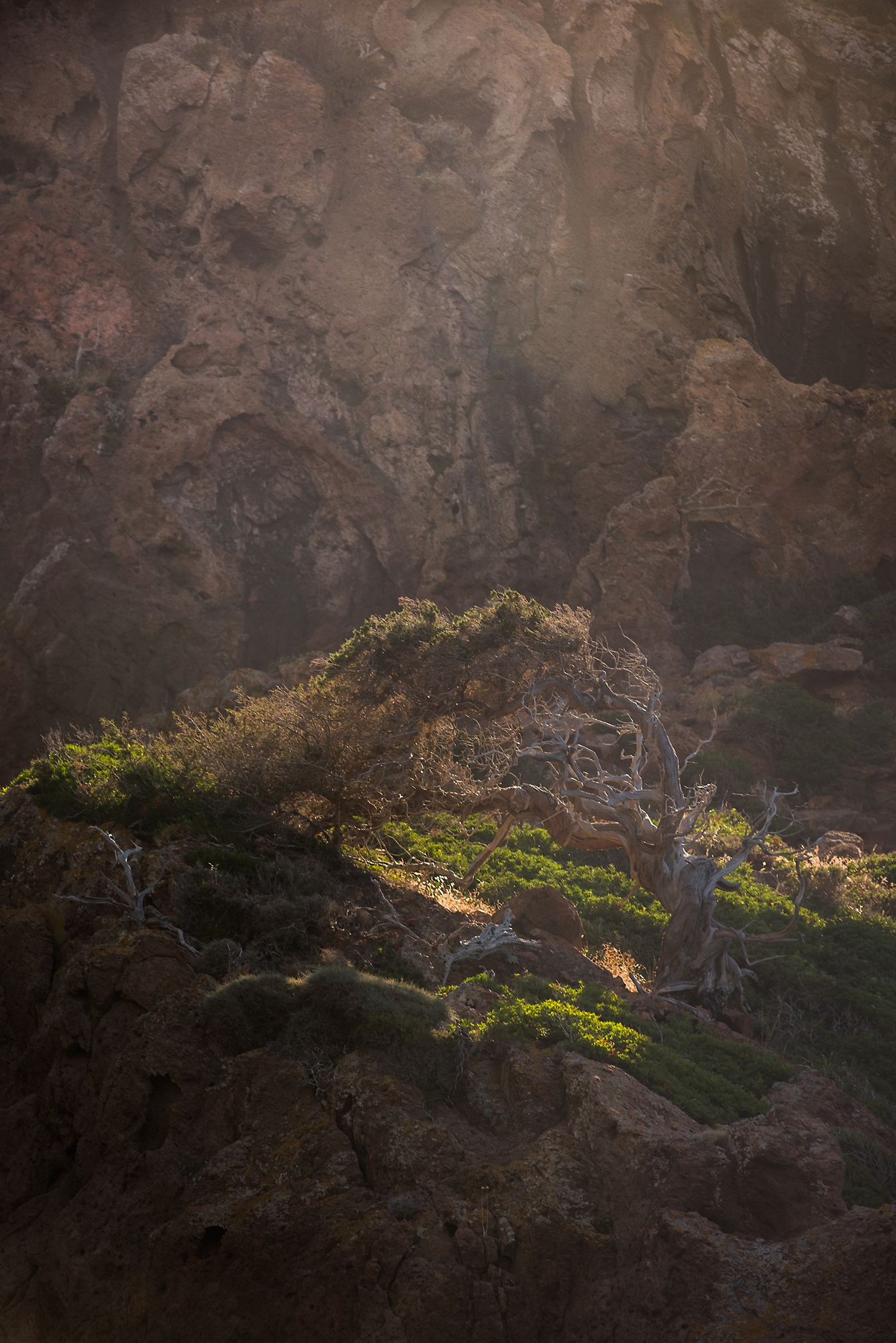 My troubled kingdom...